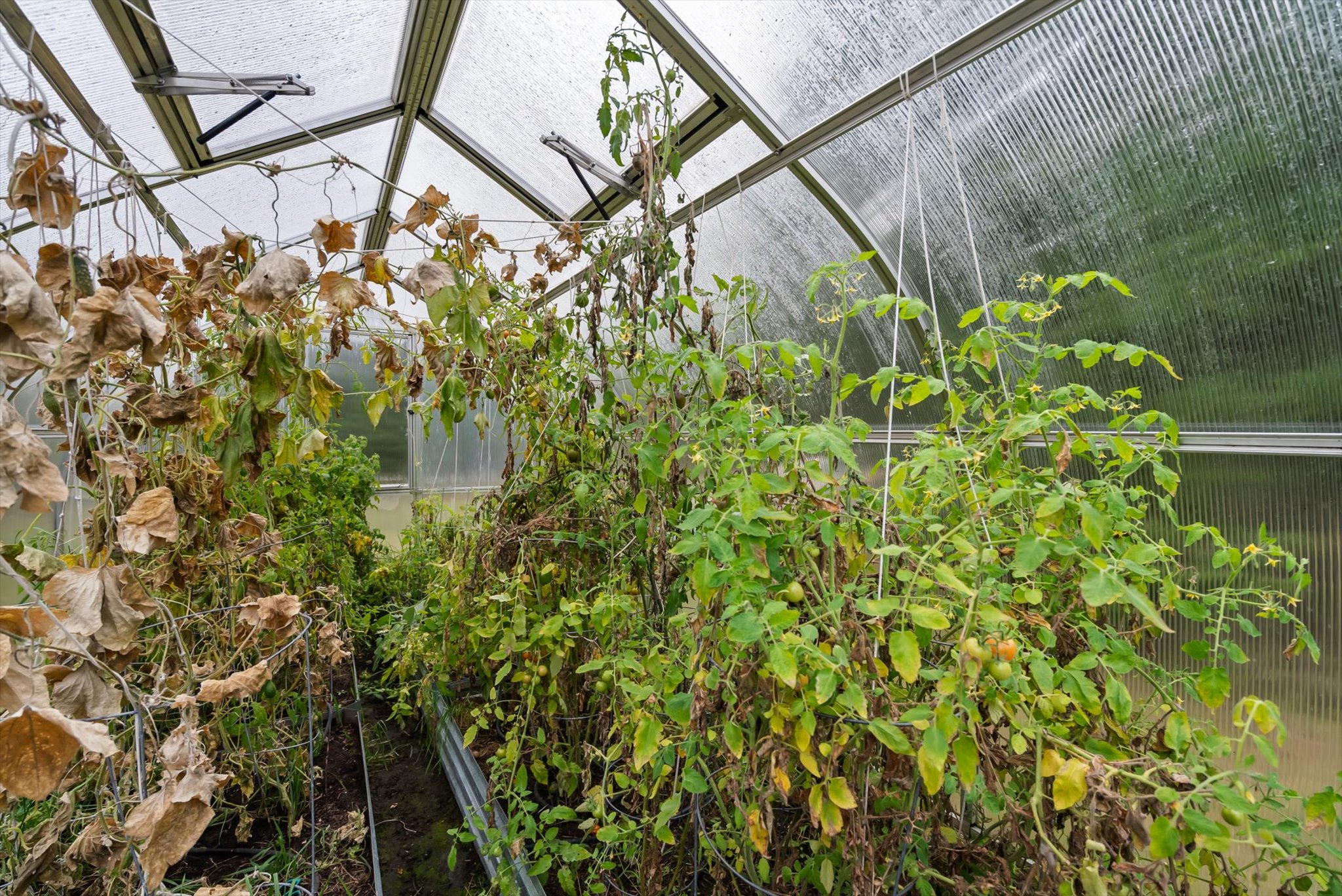 3740 Foothill Road Property Photo 29