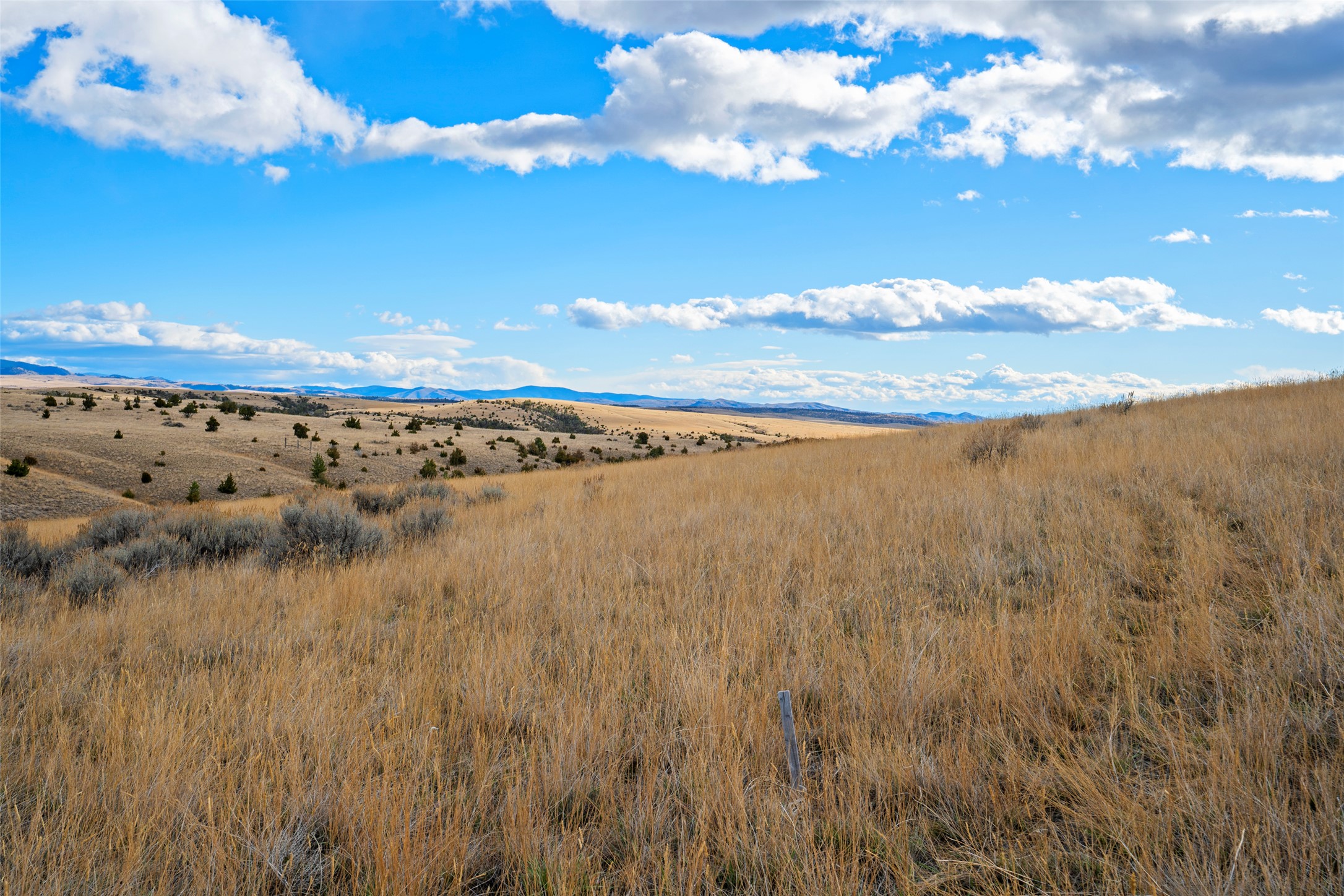 52 Diamond Gulch Road Property Photo 25