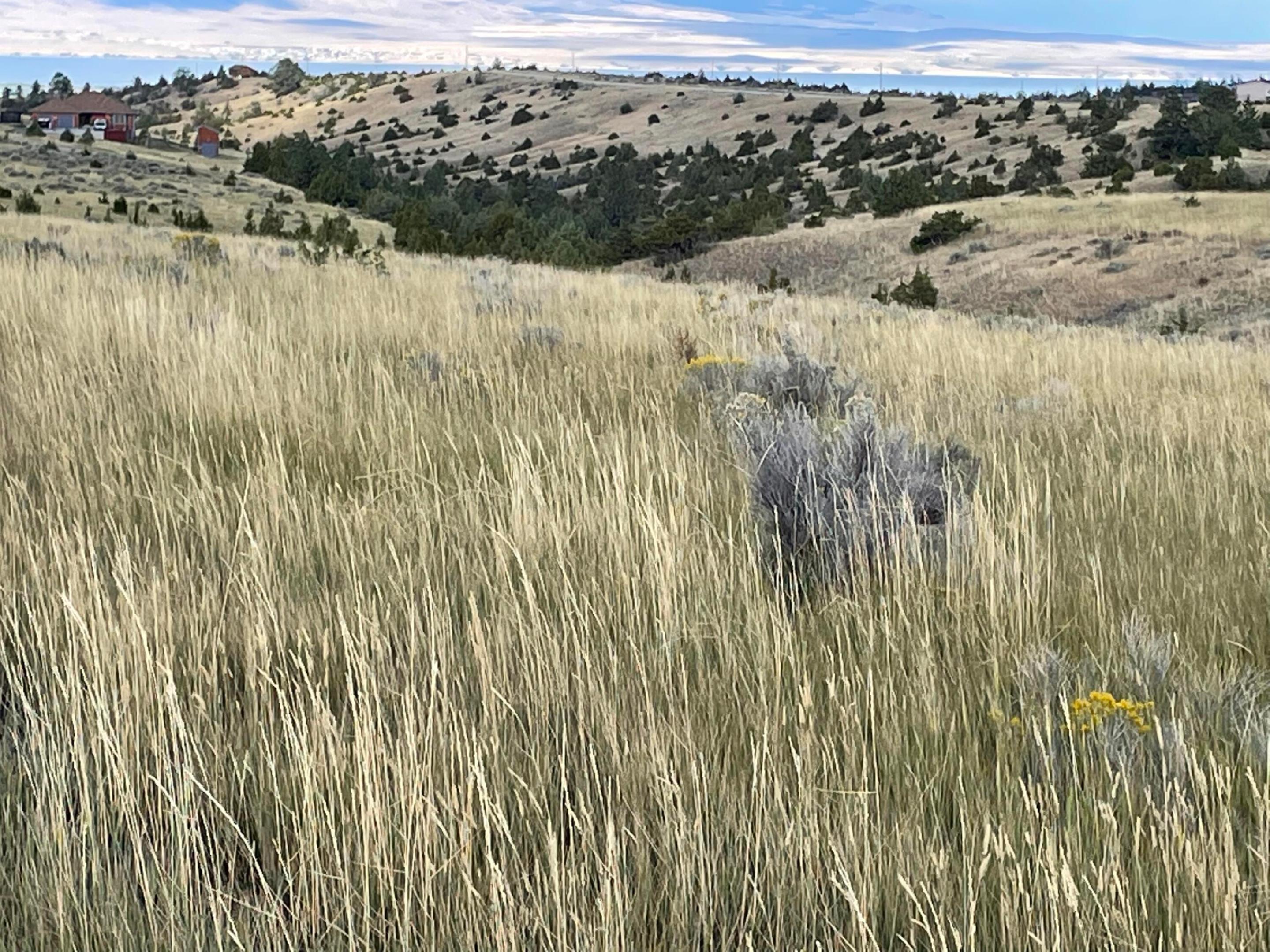 Tbd S Fork Ray Creek Road Property Photo 9