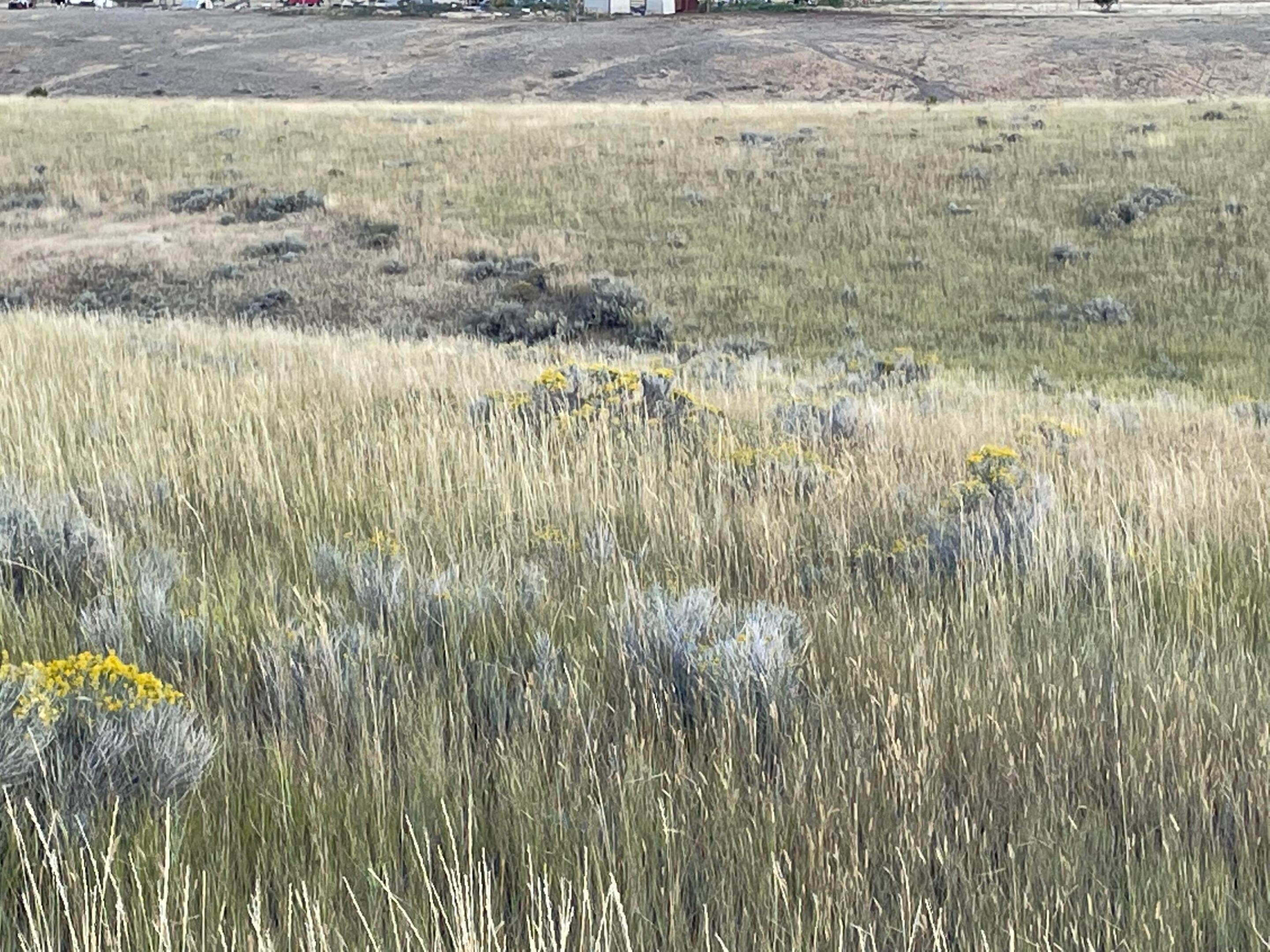 Tbd S Fork Ray Creek Road Property Photo 11