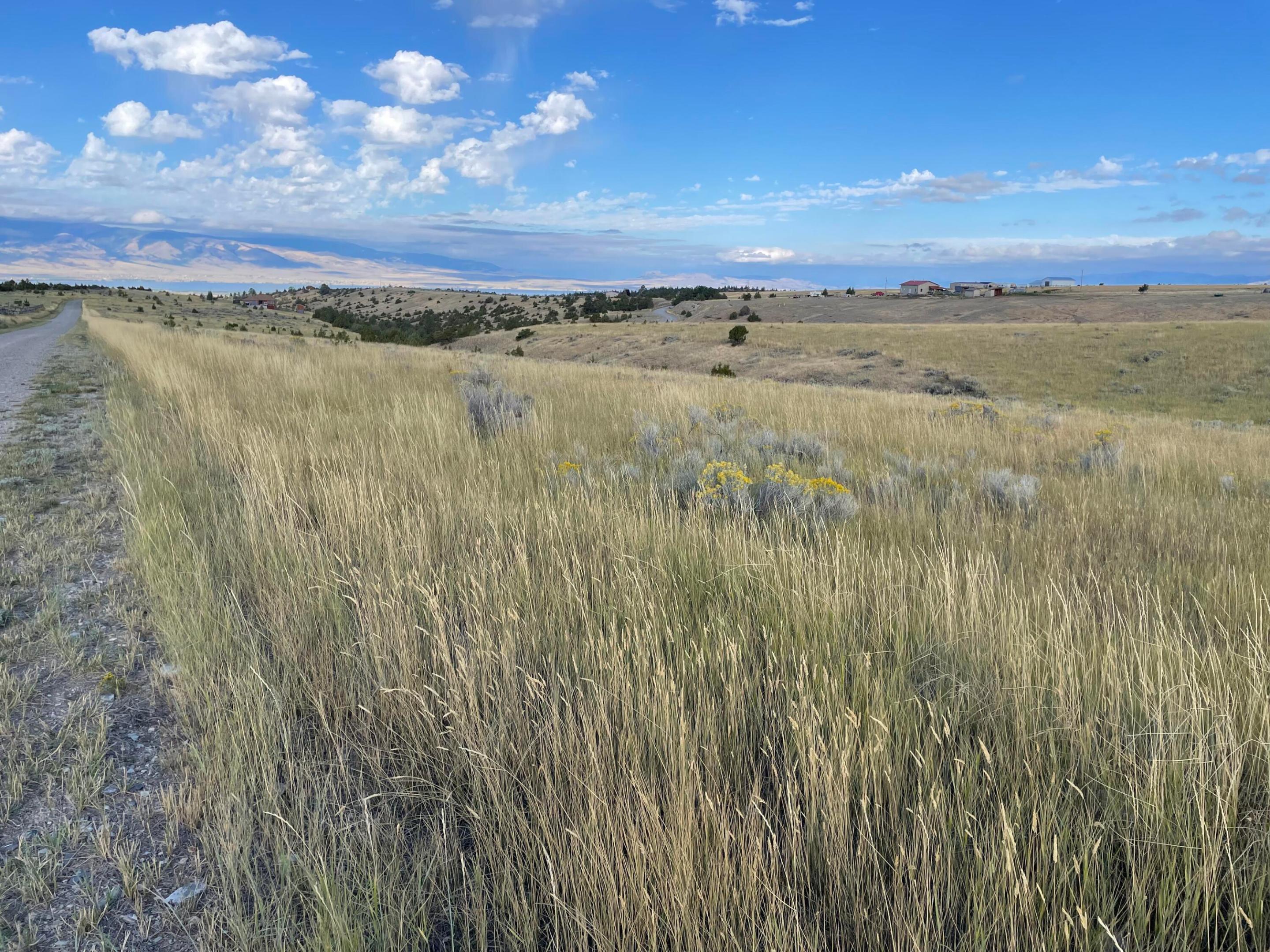 Tbd S Fork Ray Creek Road Property Photo 12