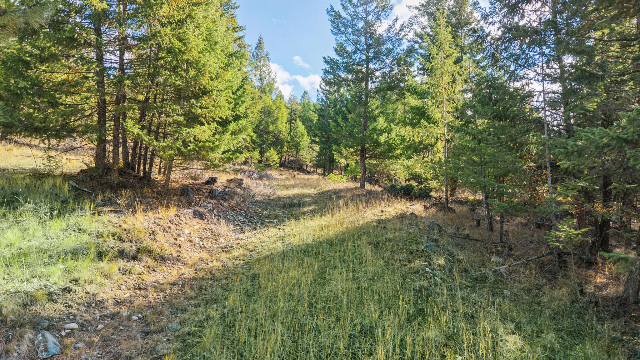 Nhn Paradise Ridge Road Property Photo 11