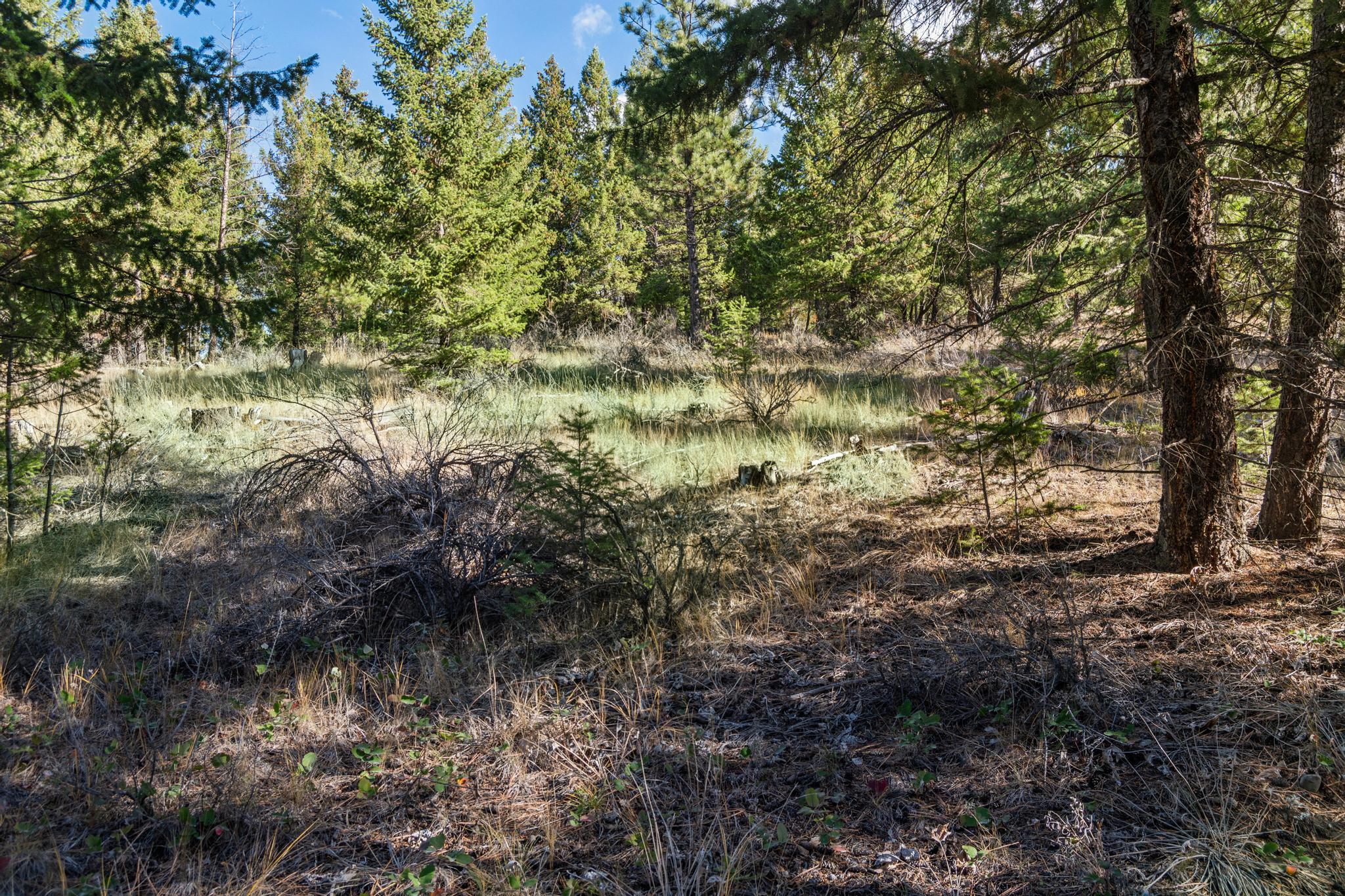 Nhn Paradise Ridge Road Property Photo 17