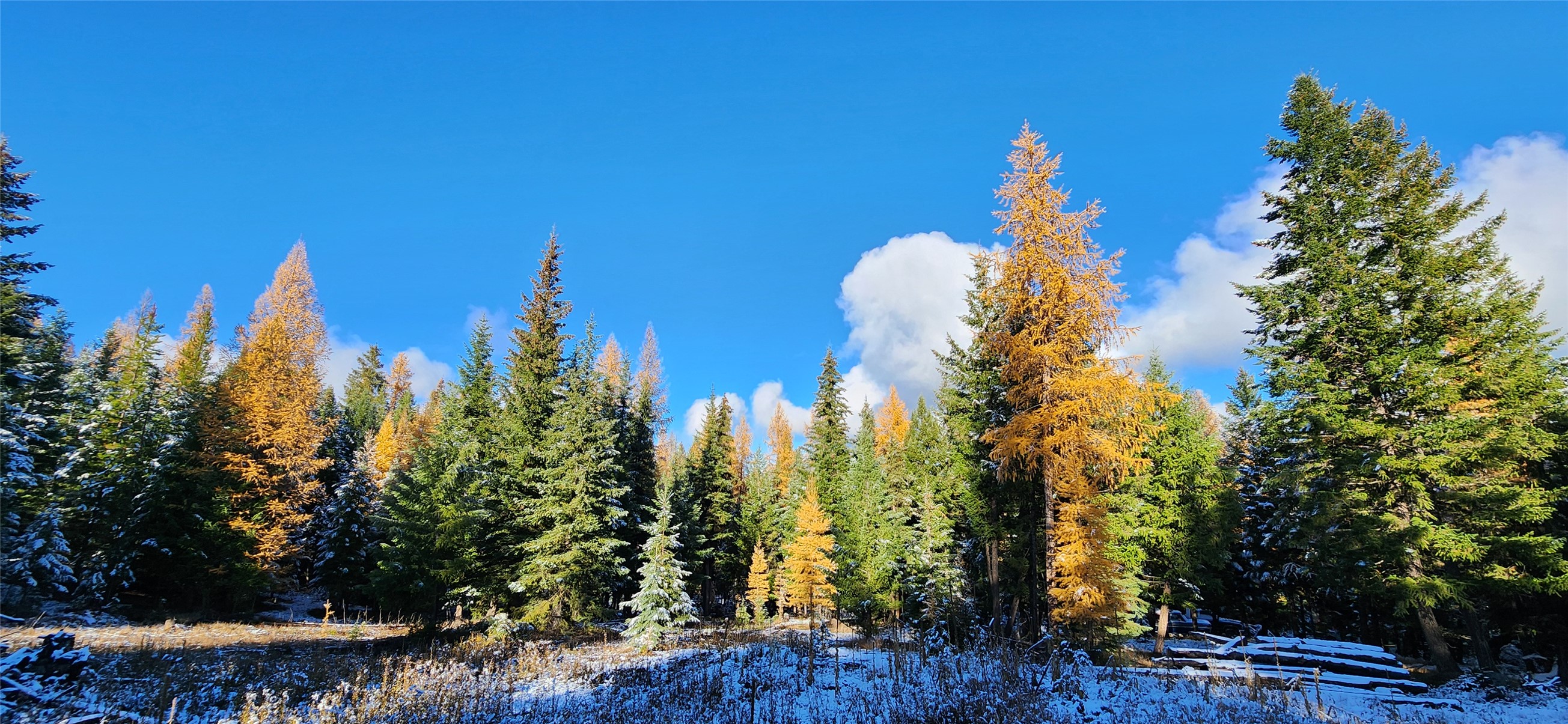 Lot 8 Tamarack Lane Property Photo 3