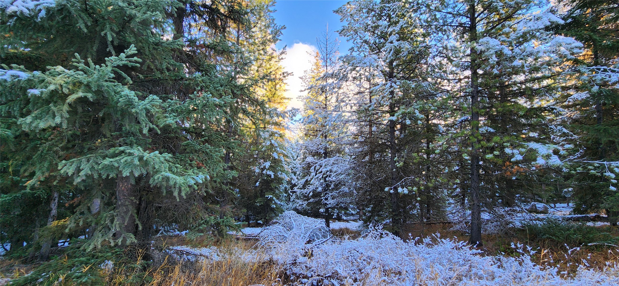 Lot 8 Tamarack Lane Property Photo 6