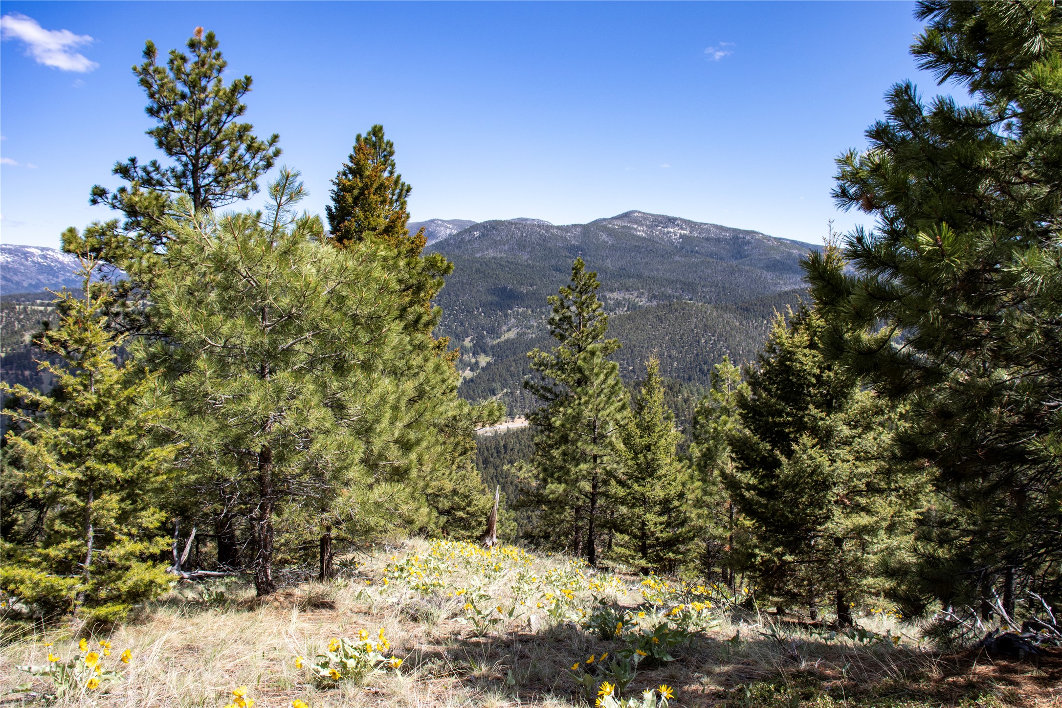 Tbd Elkhorn Mountain View Road Property Photo 15