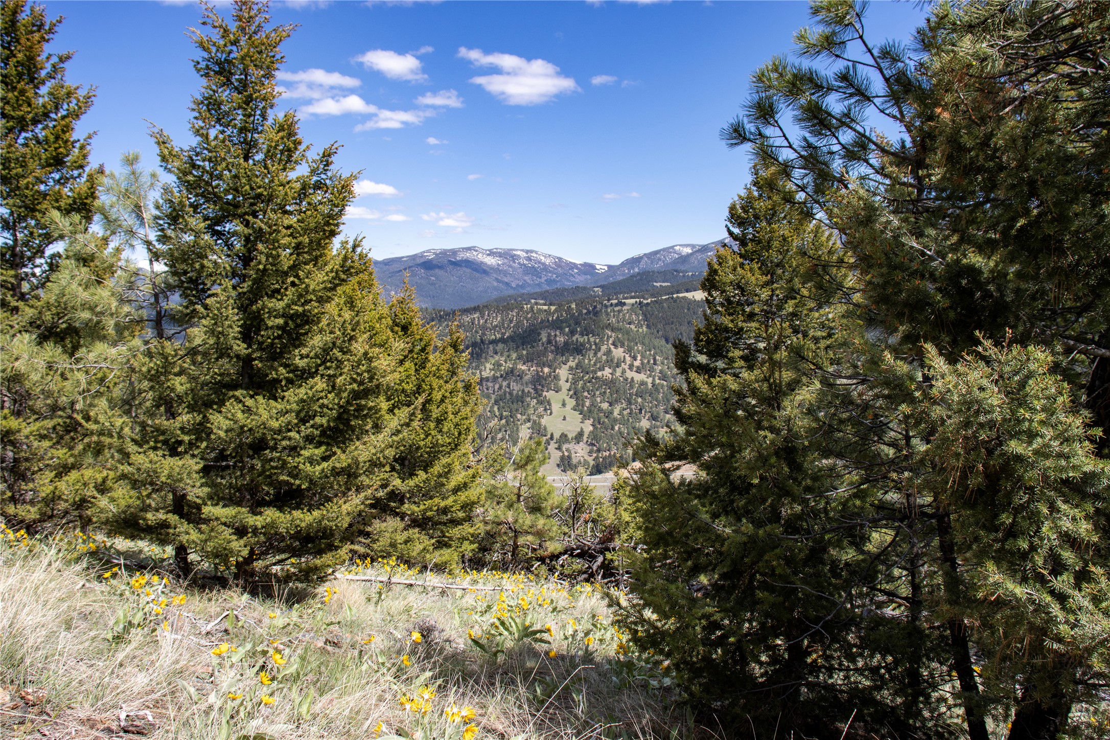 Tbd Elkhorn Mountain View Road Property Photo 16