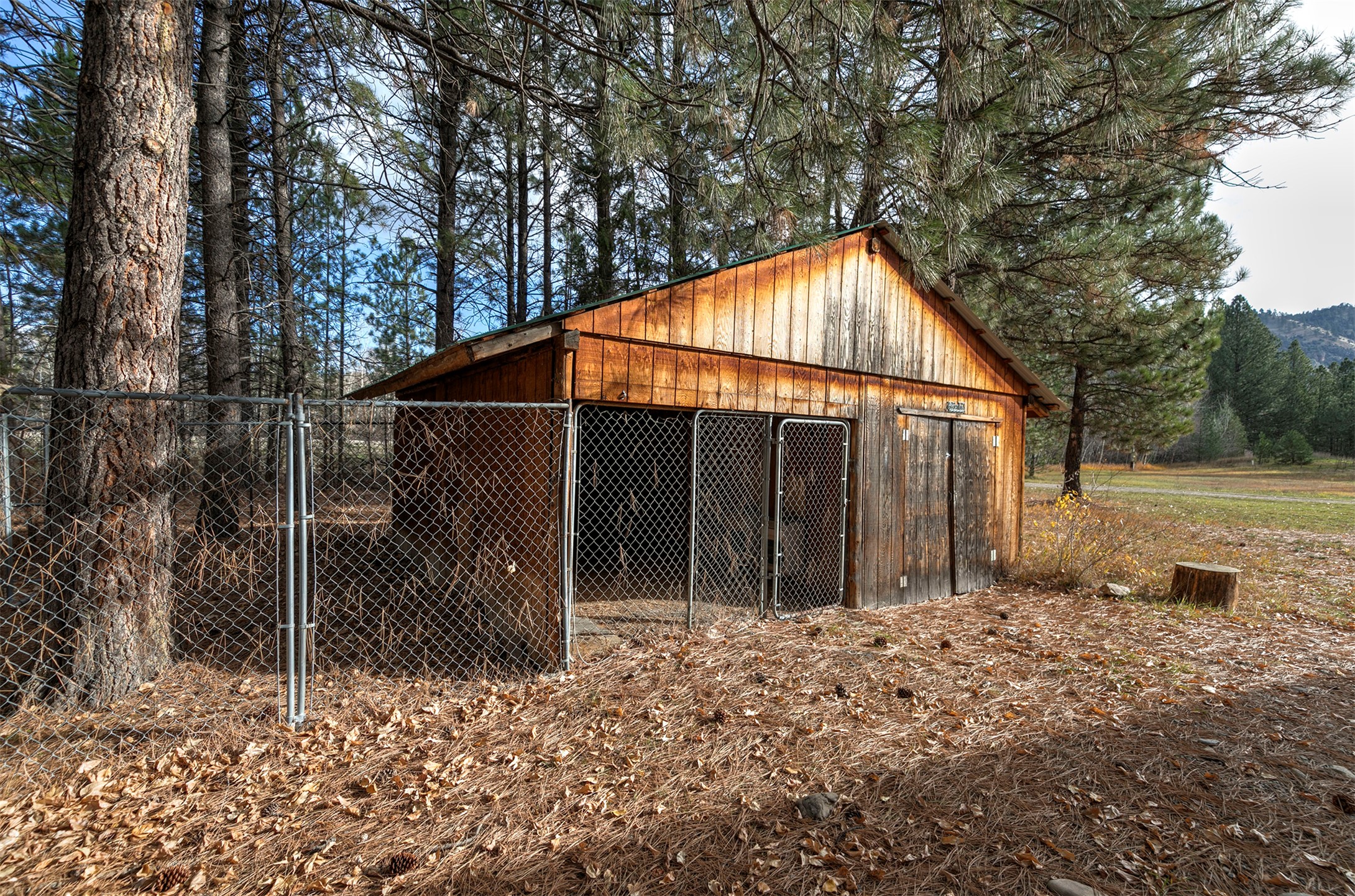 2377 Us Highway 93 S Property Photo 24