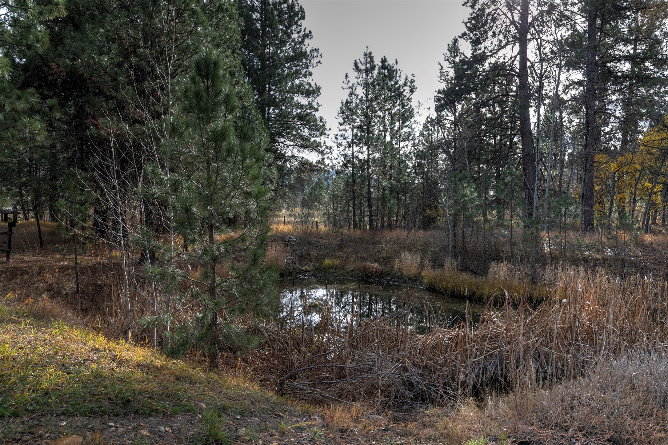 2377 Us Highway 93 S Property Photo 27