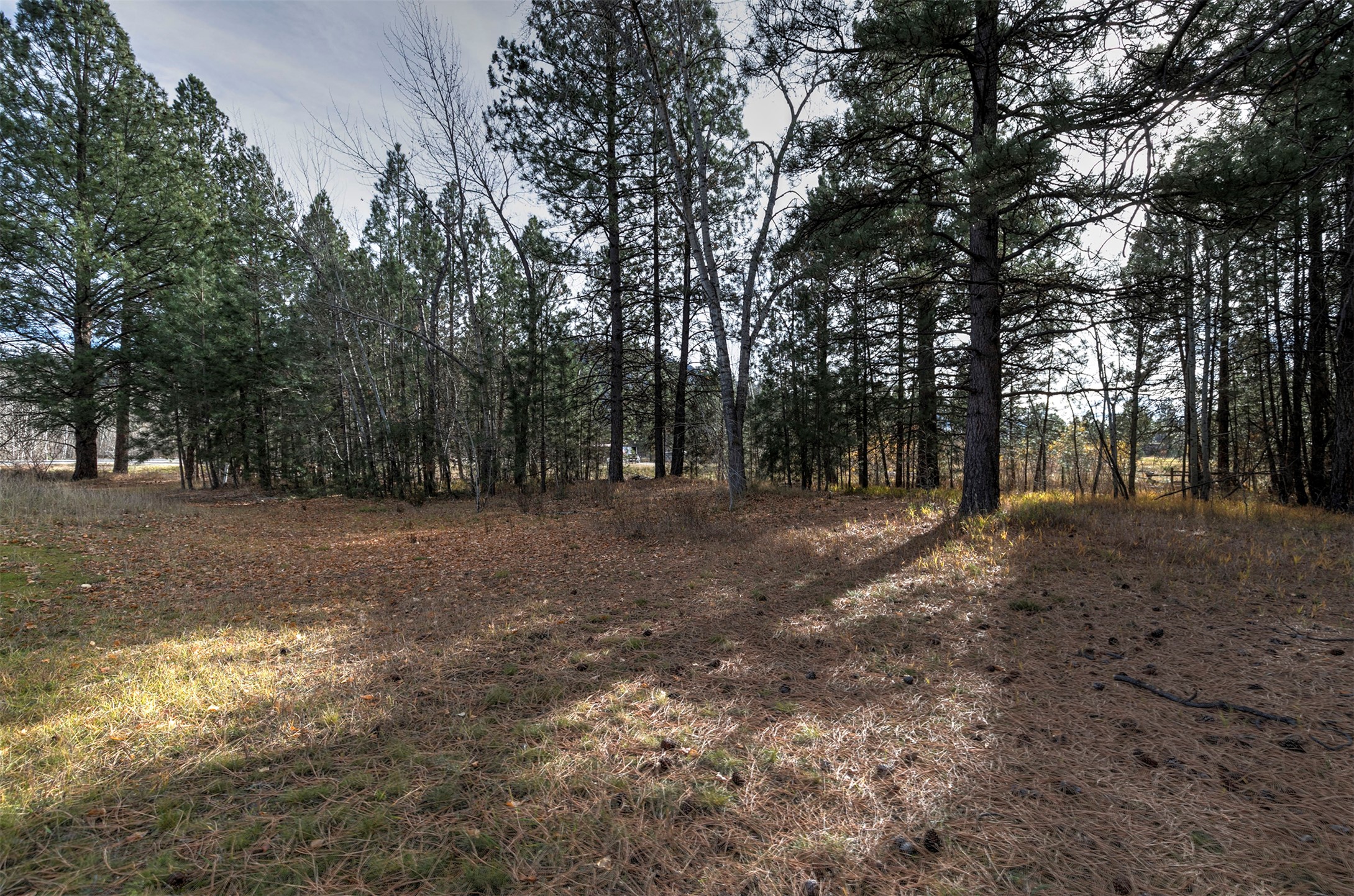2377 Us Highway 93 S Property Photo 28