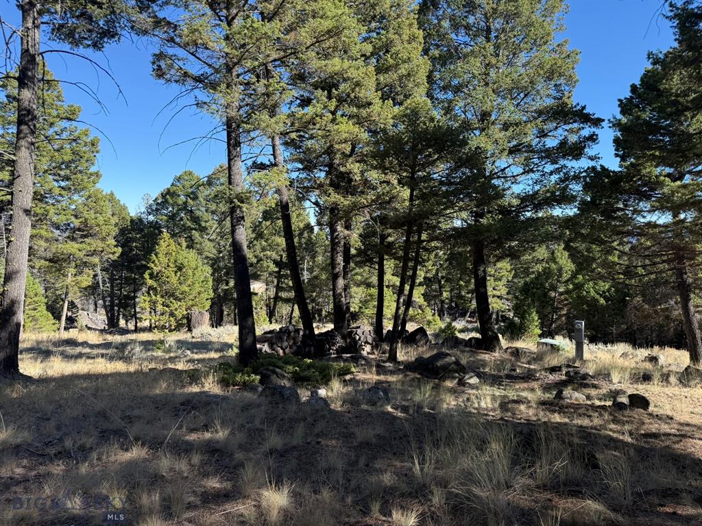 91 Upper Rader Creek Road Property Photo 12