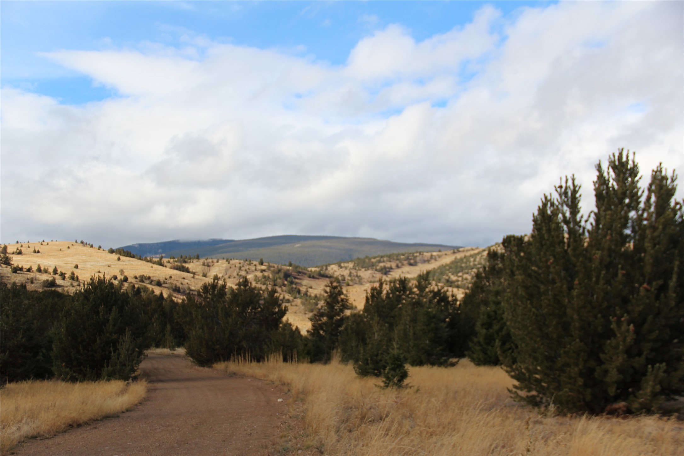 Tbd Tbd Property Photo 20