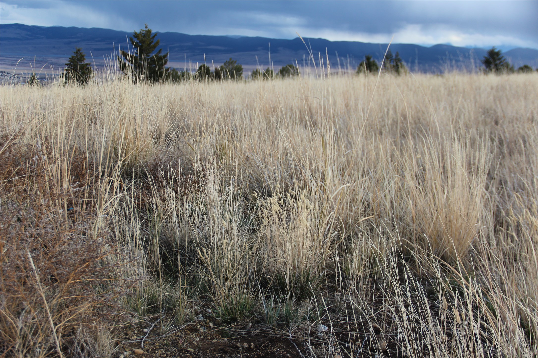 Tbd Tbd Property Photo 35