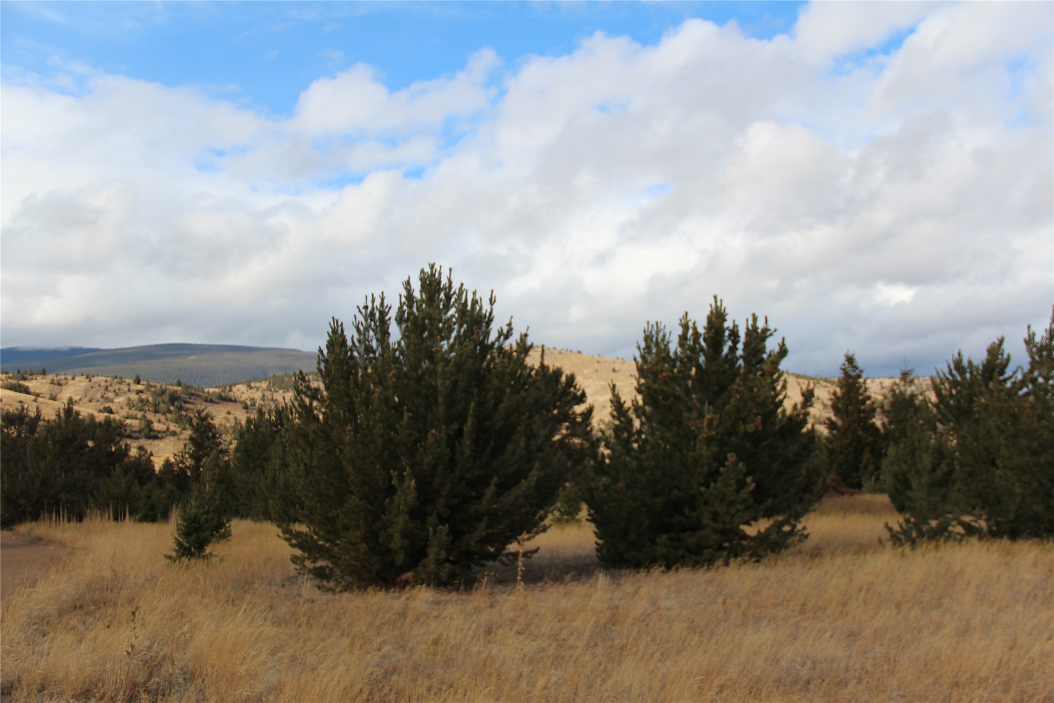 Tbd Tbd Property Photo 38