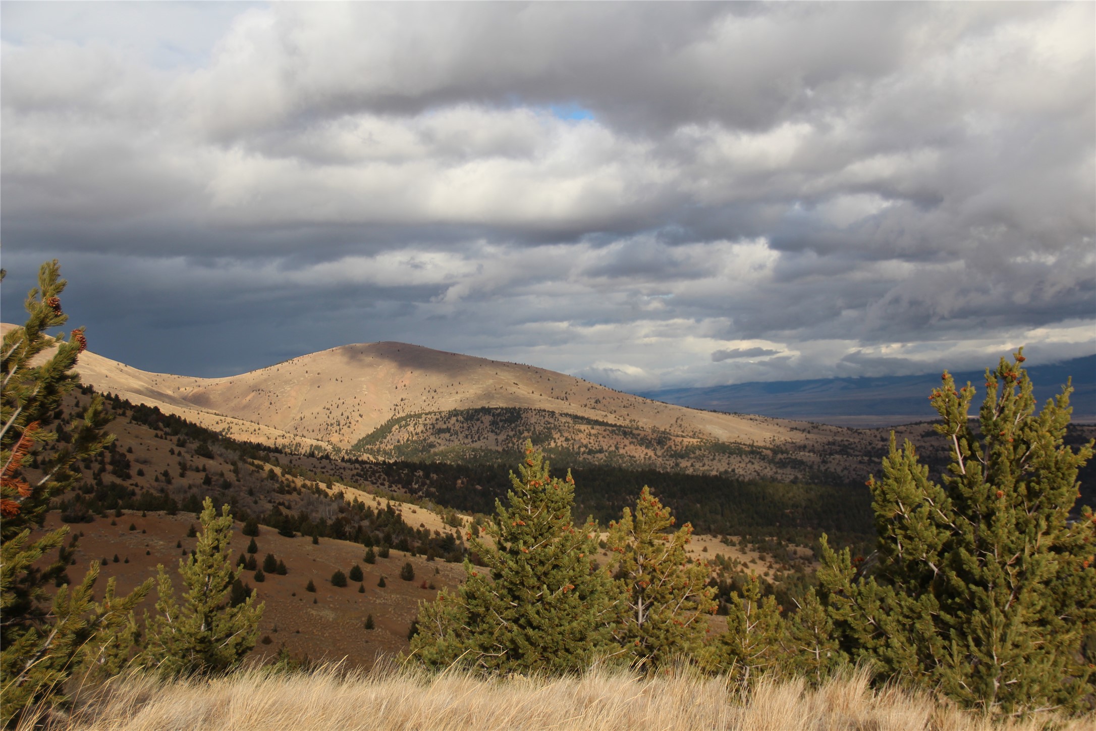 Tbd Tbd Property Photo 68