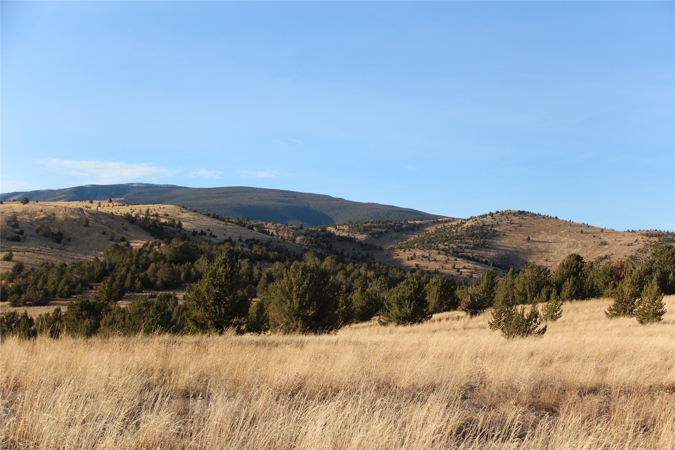 Tbd Tbd Property Photo 74