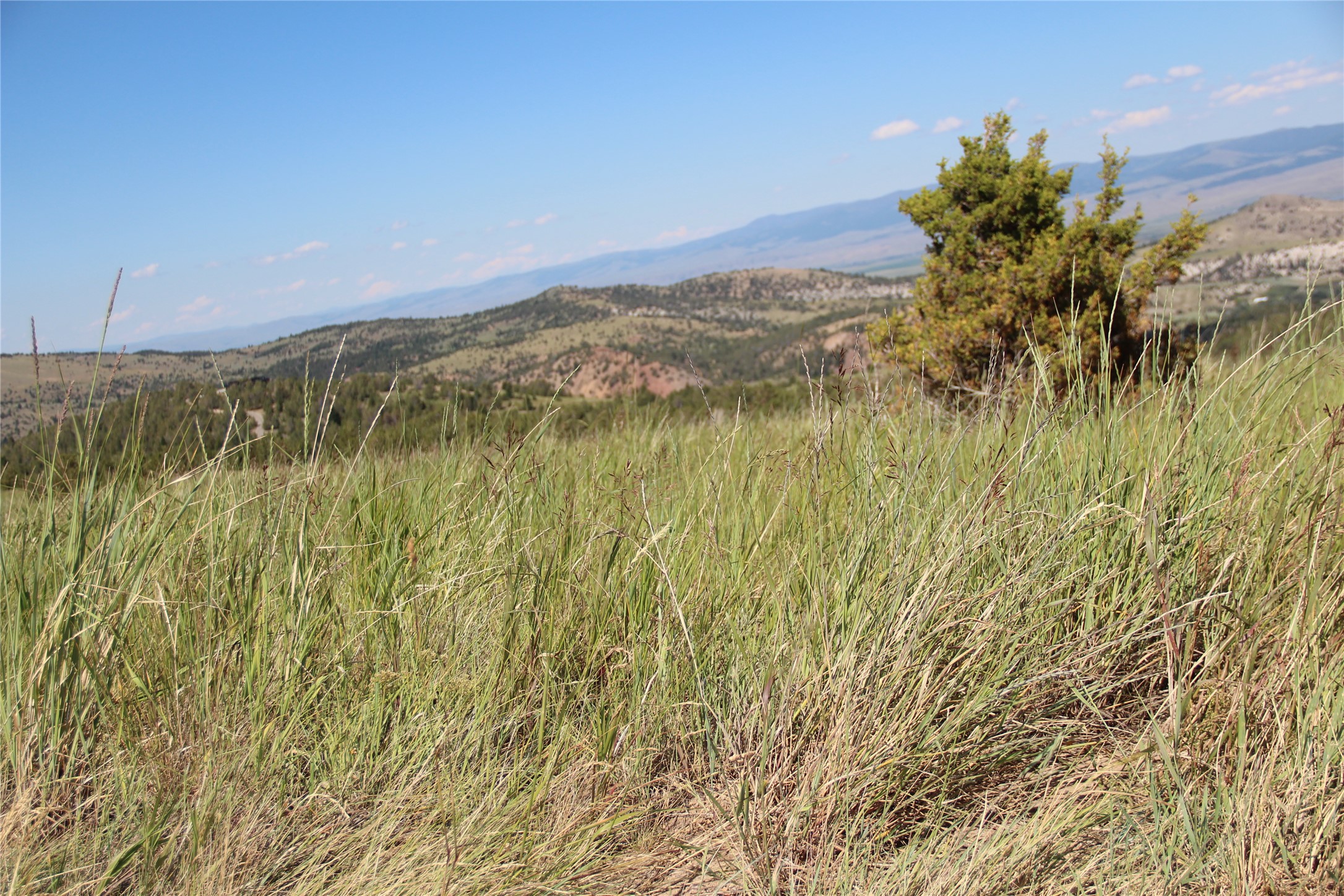 Tbd Tbd Property Photo 95
