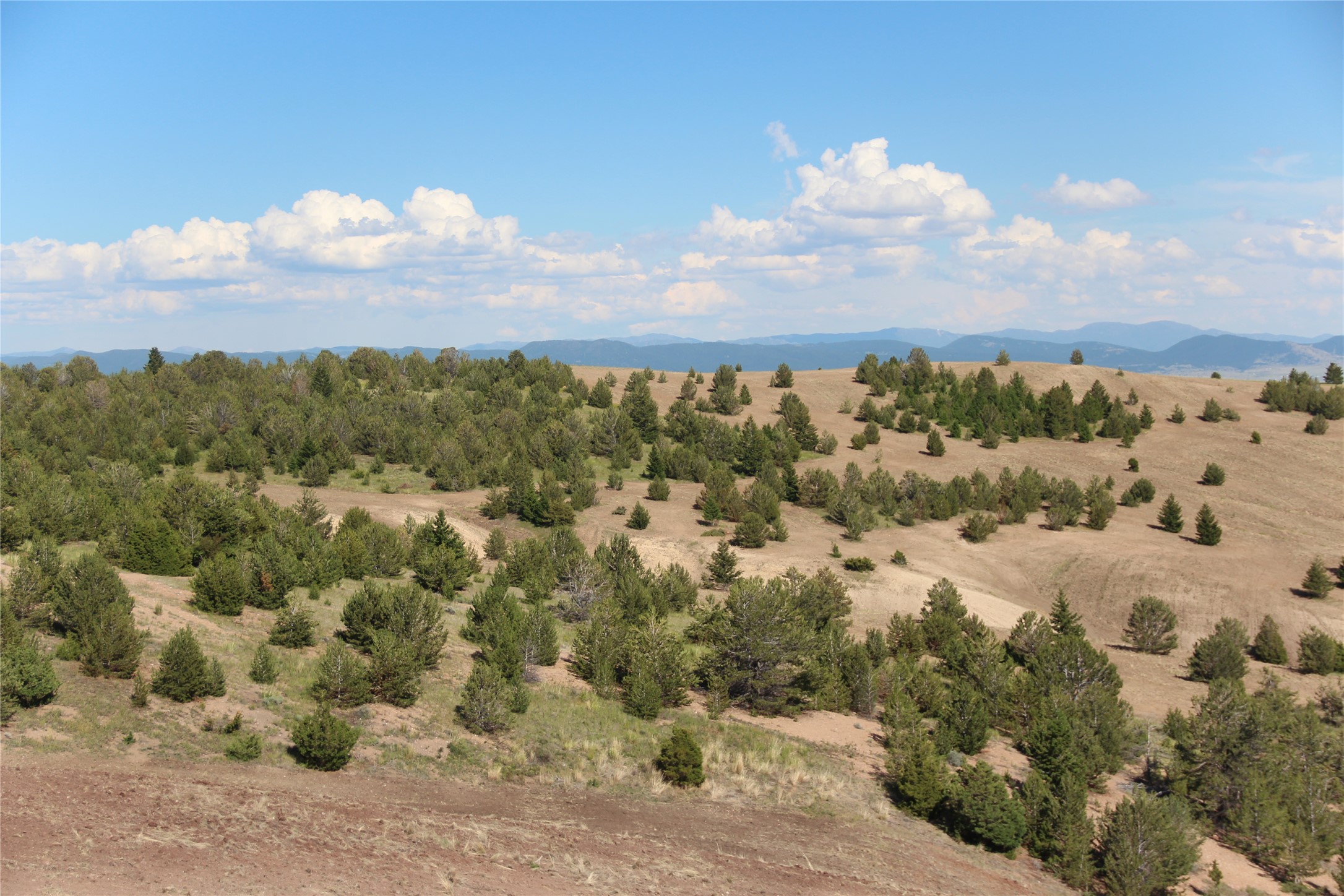 Tbd Tbd Property Photo 113