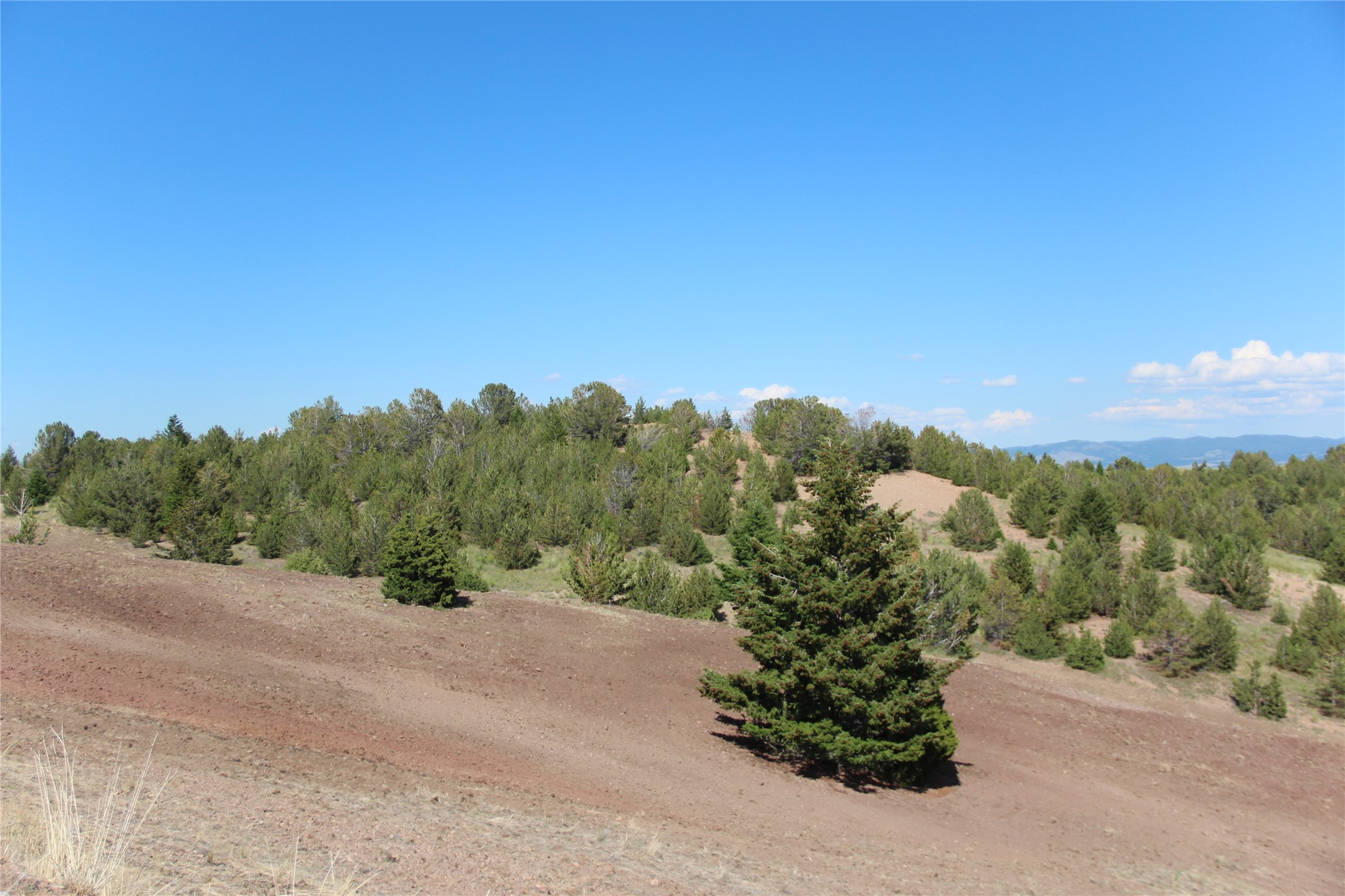 Tbd Tbd Property Photo 114