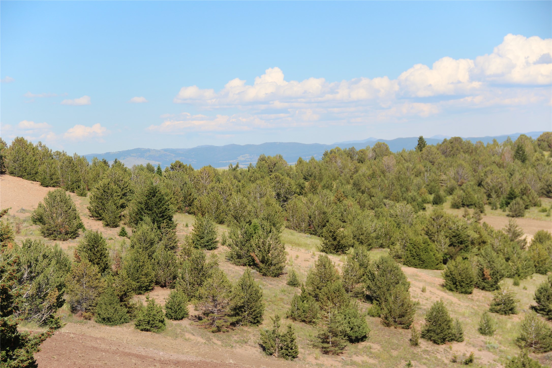 Tbd Tbd Property Photo 115