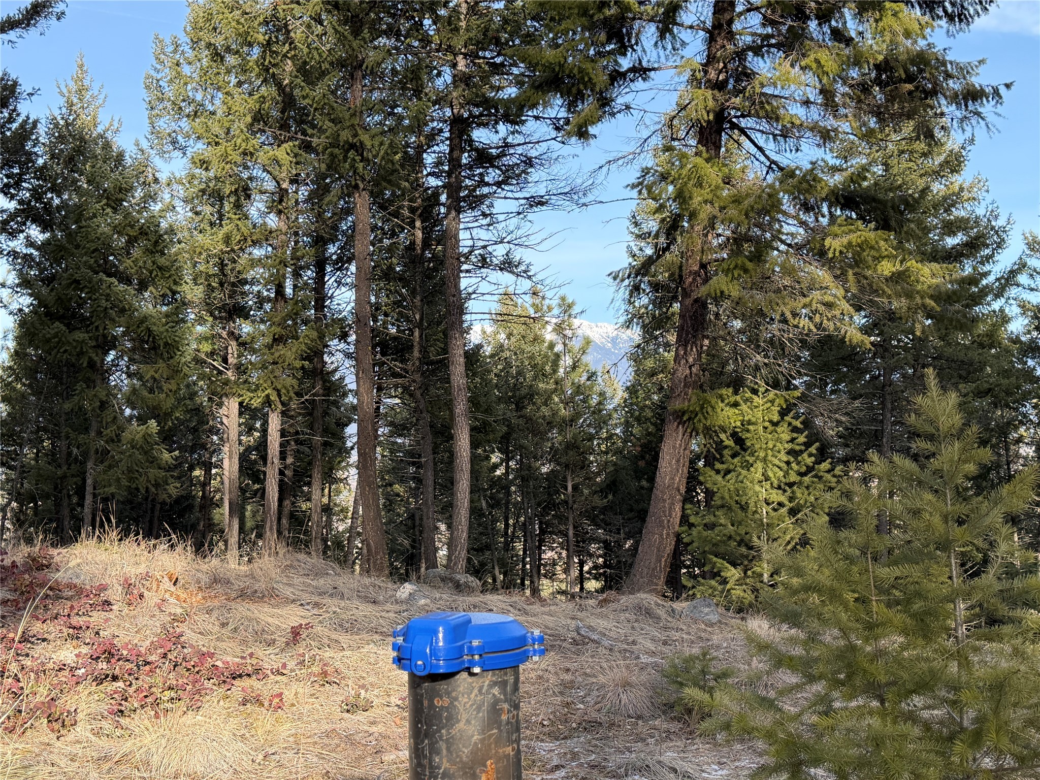 Nhn Hillandale Trail Property Photo 6