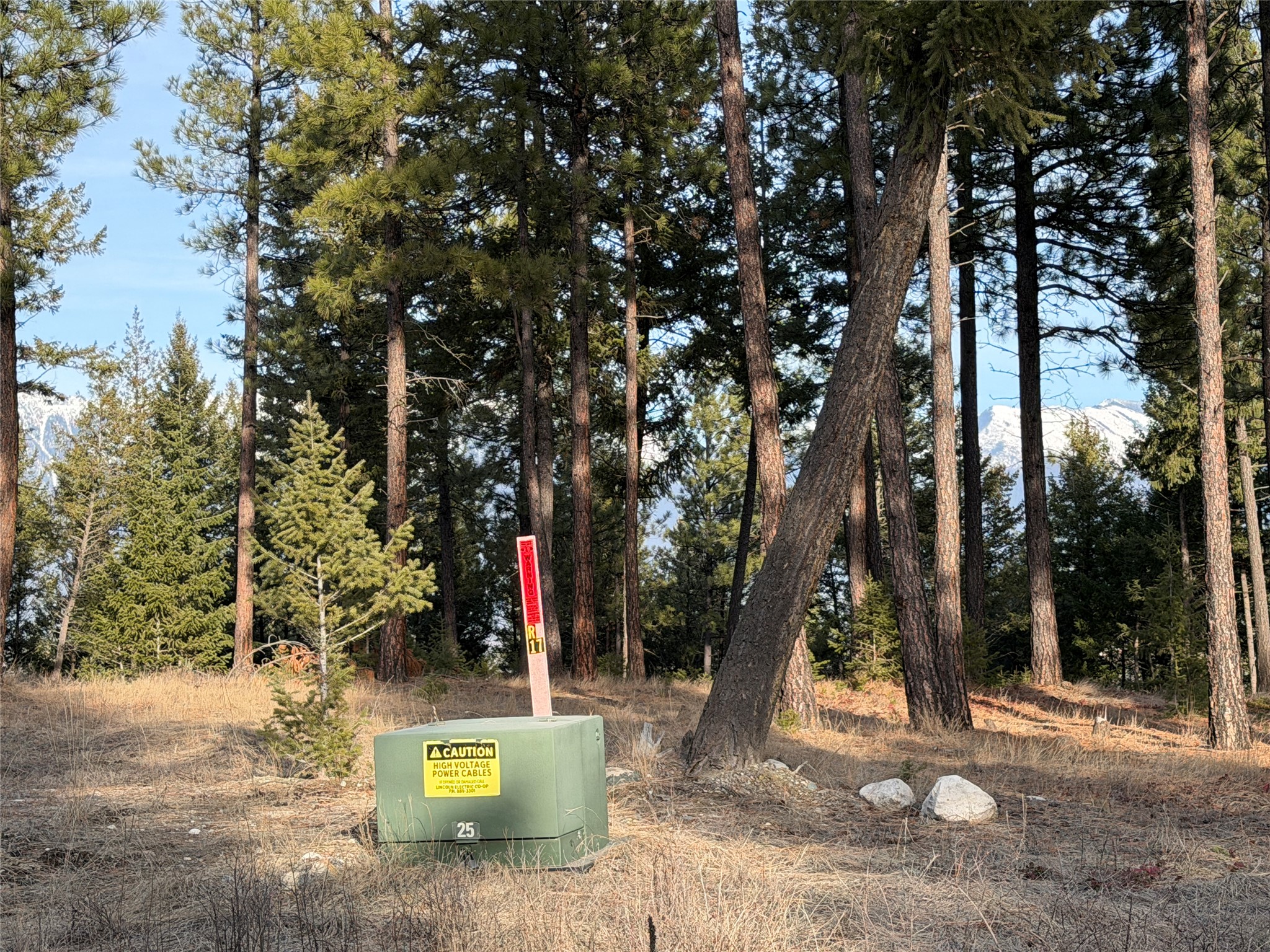 Nhn Hillandale Trail Property Photo 7