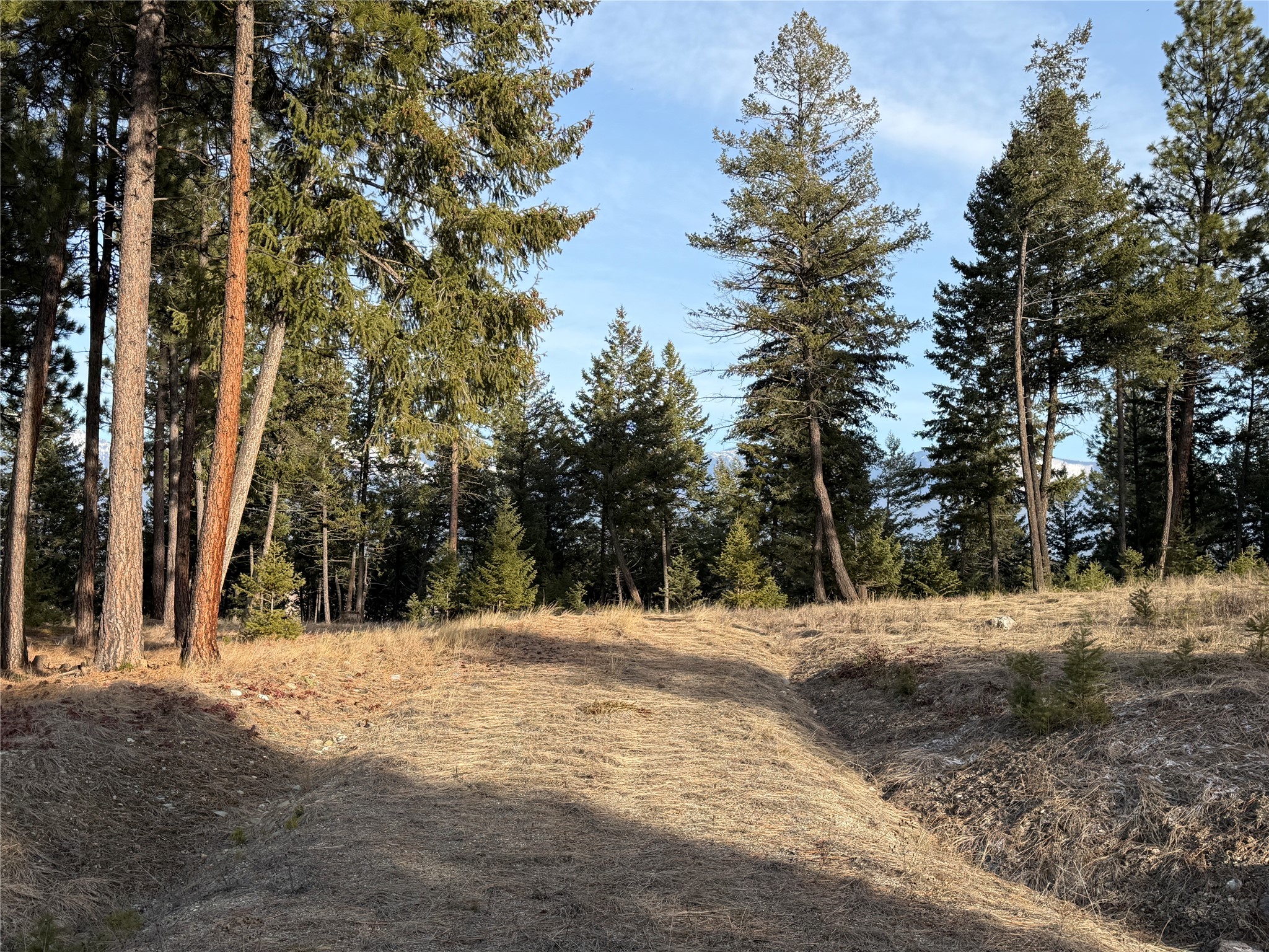 Nhn Hillandale Trail Property Photo 10
