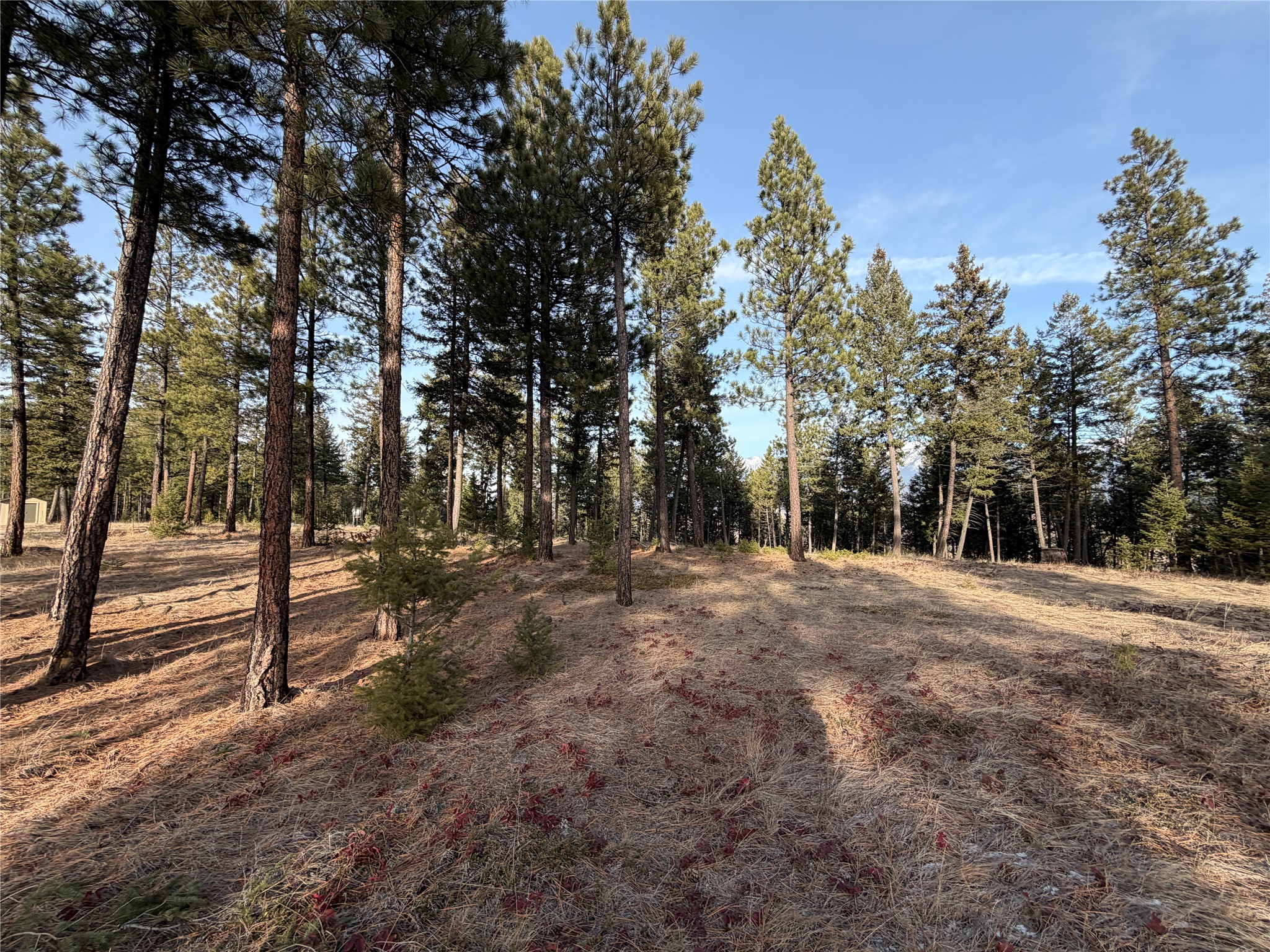 Nhn Hillandale Trail Property Photo 25