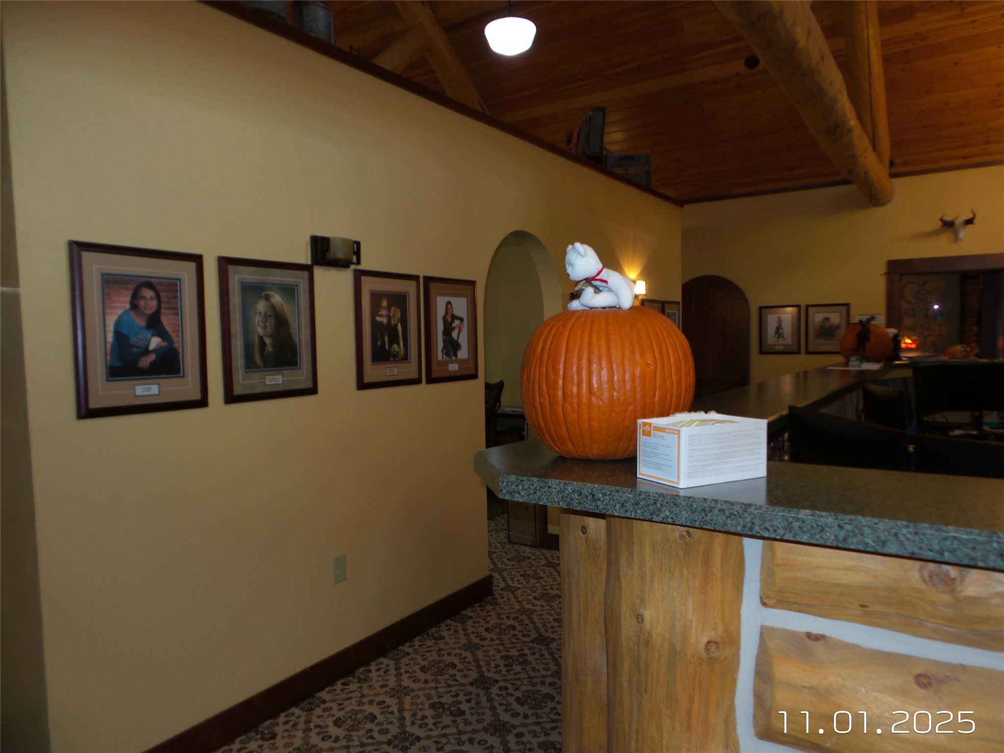 2510 Bobcat Way Property Photo 63