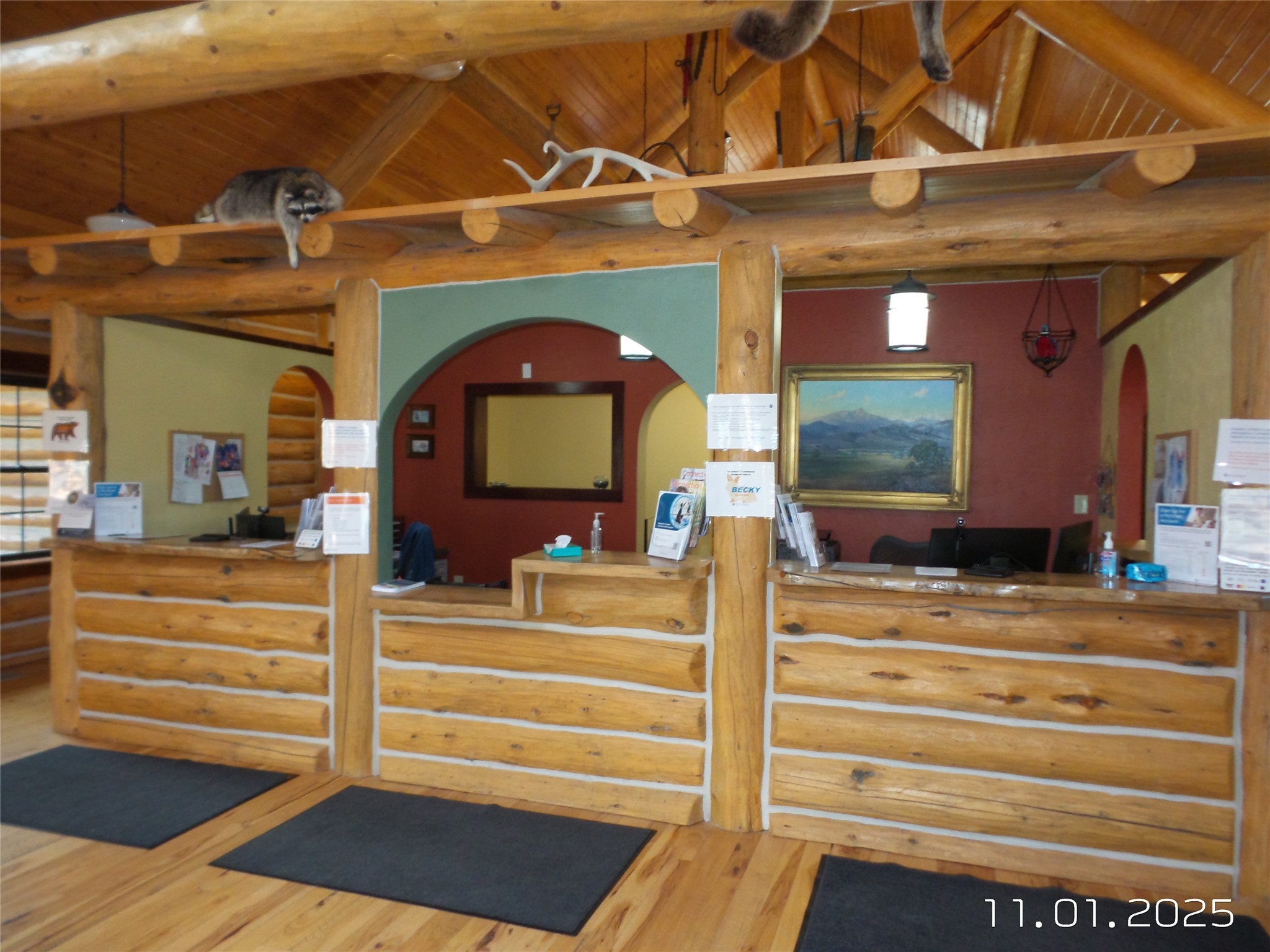 2510 Bobcat Way Property Photo 66