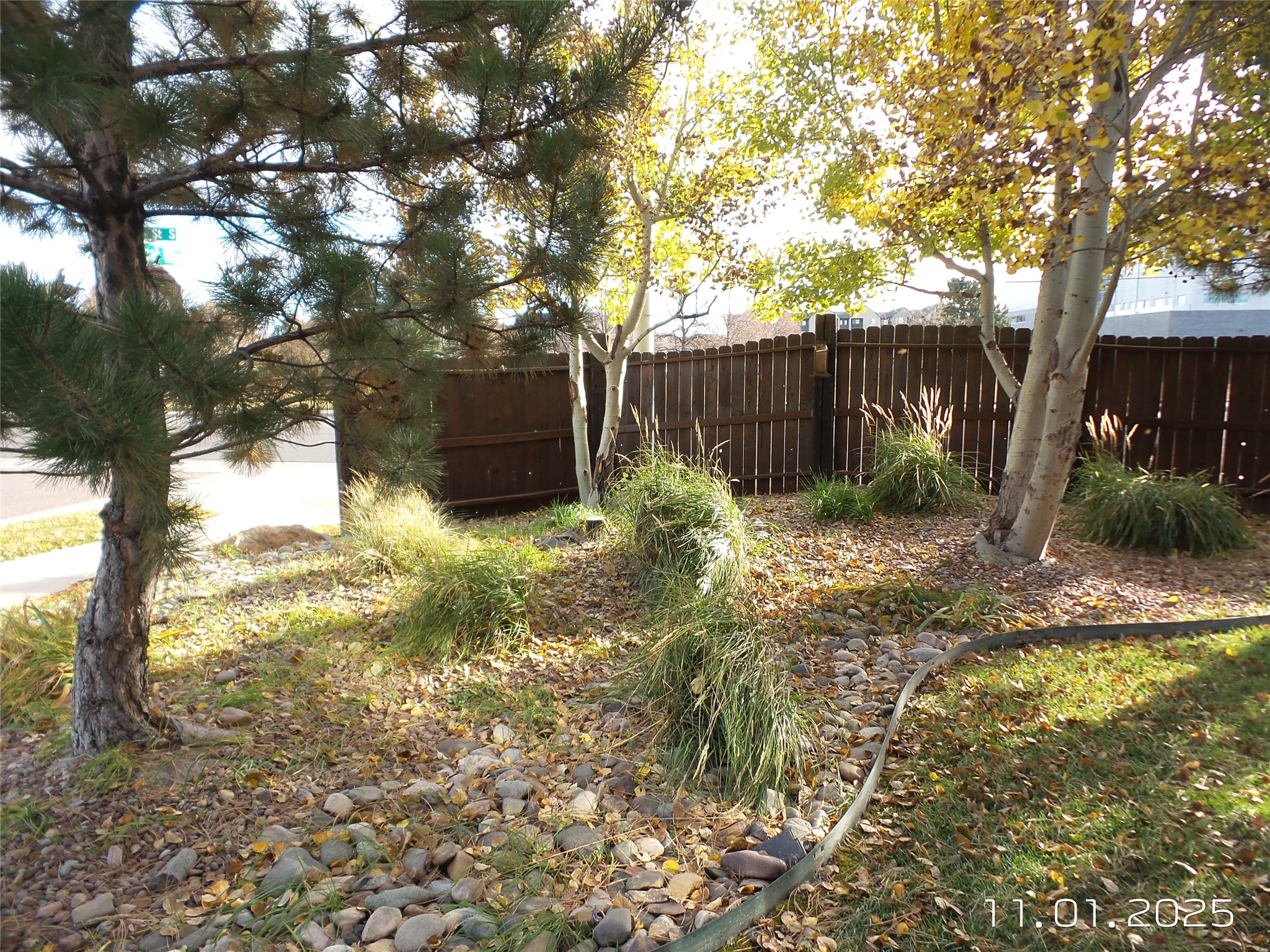 2510 Bobcat Way Property Photo 99