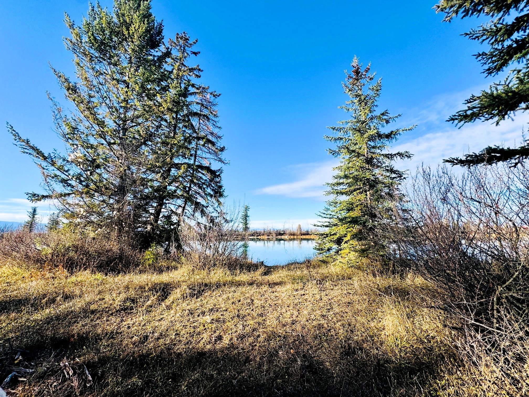 1262 Riverside Road Property Photo 15