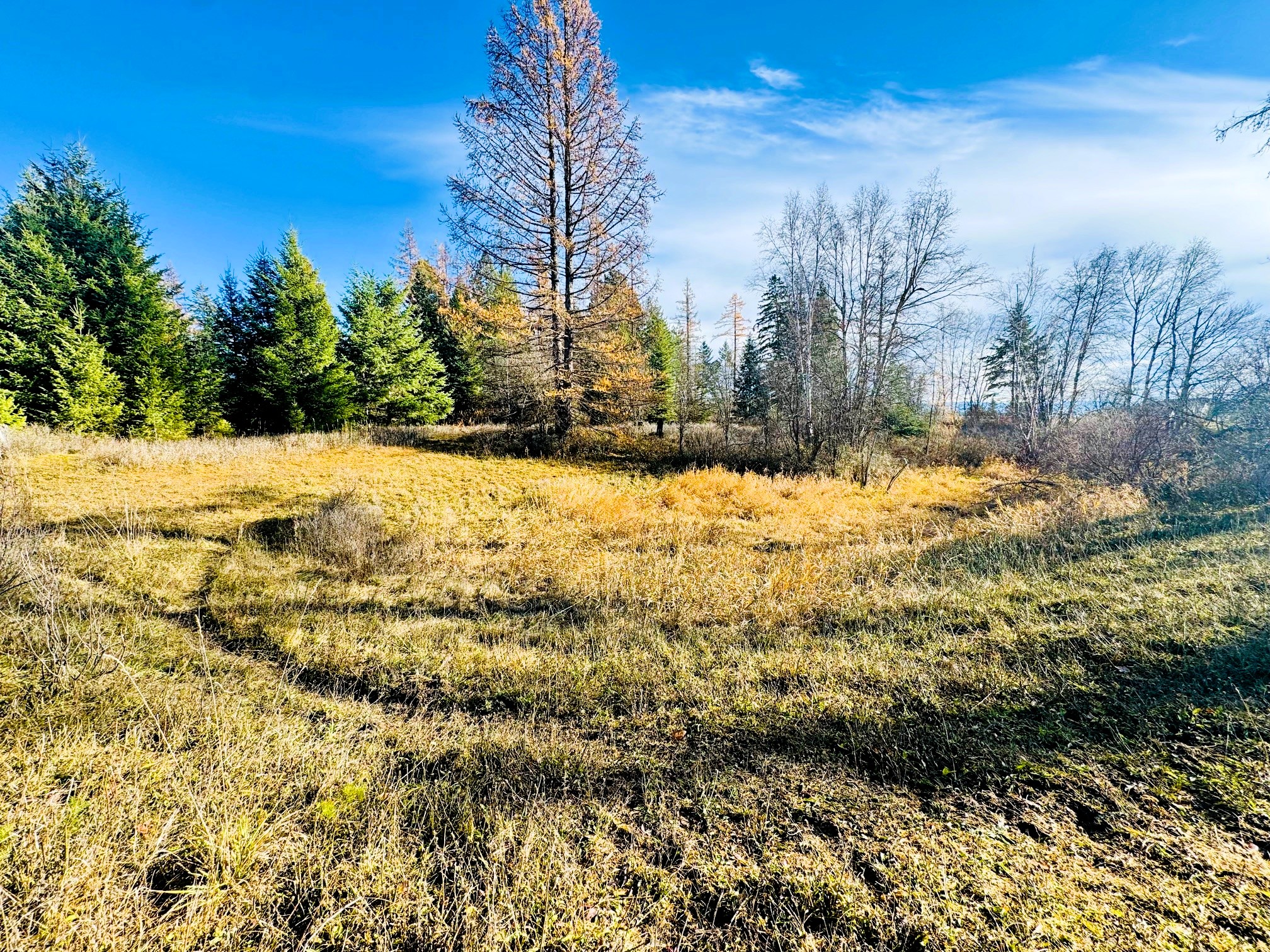 1262 Riverside Road Property Photo 16