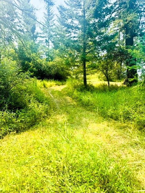 1262 Riverside Road Property Photo 24