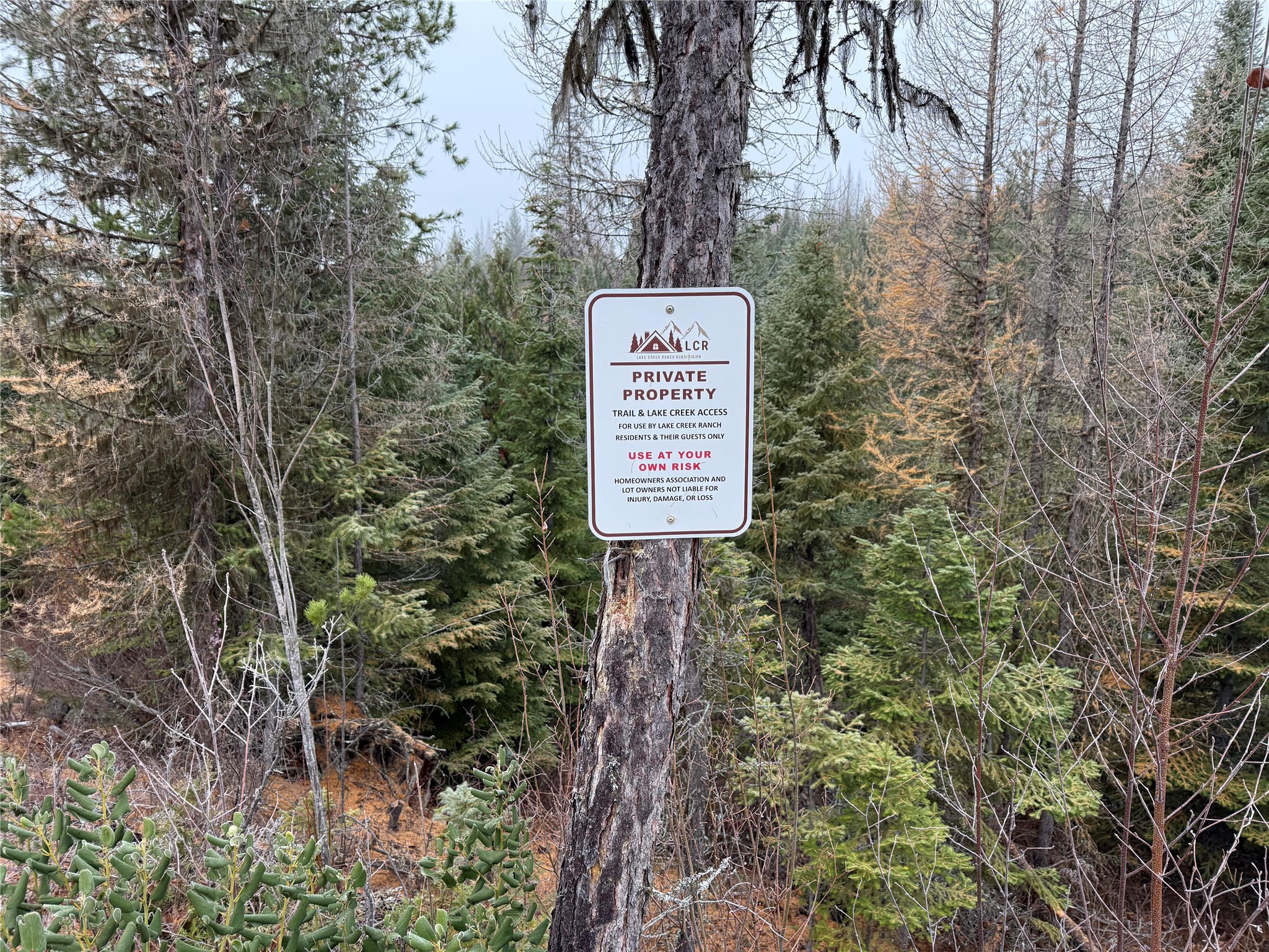 465 Shoshone Trail Property Photo 9