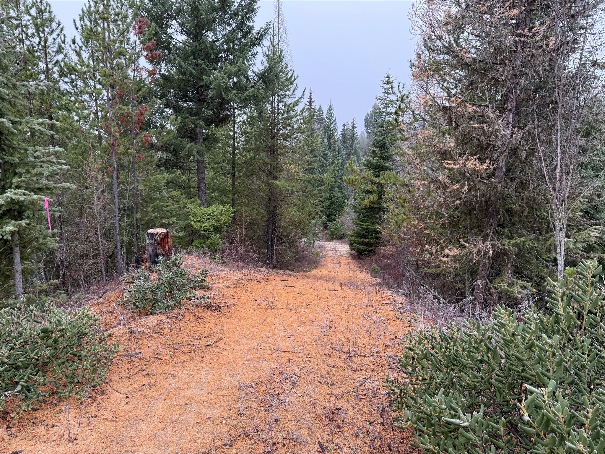 465 Shoshone Trail Property Photo 10