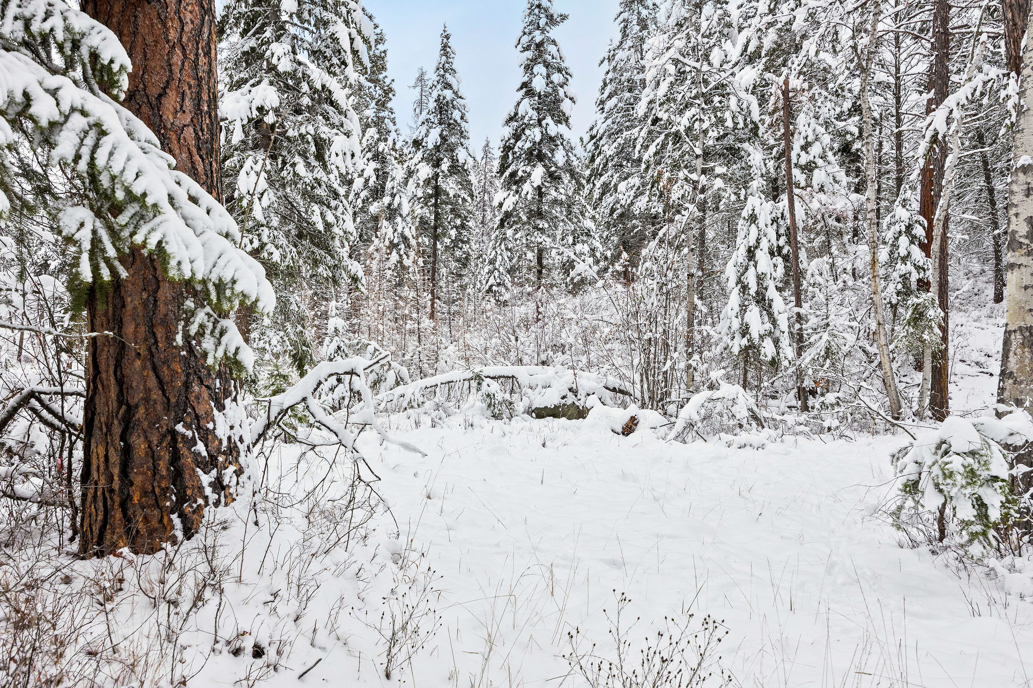 375 Ranch Road Property Photo 8