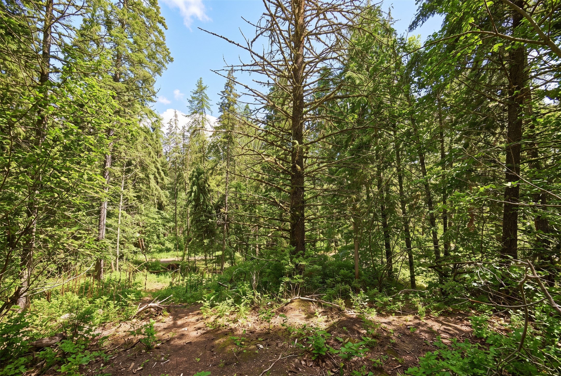 375 Ranch Road Property Photo 12