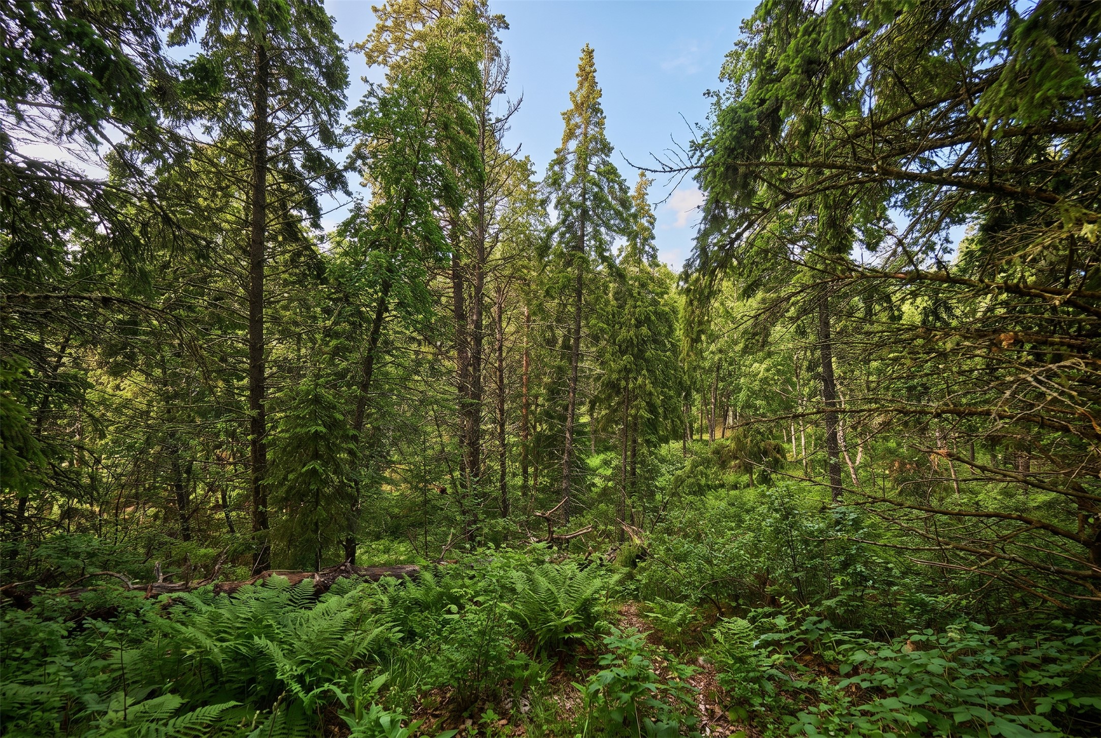 375 Ranch Road Property Photo 14