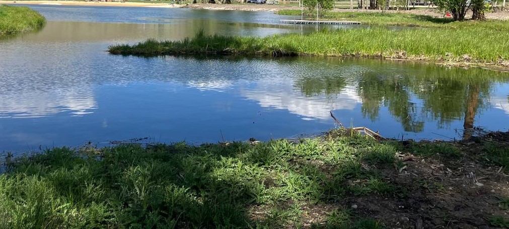 Blue Moose Ponds, Llc Property Photo 7