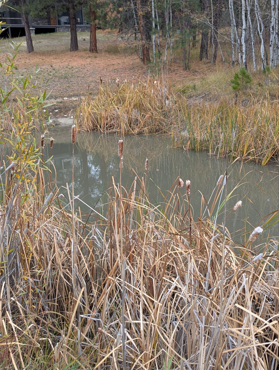 Blue Moose Ponds, Llc Property Photo 10