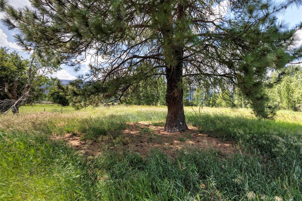 20233 Leo Hansen Road Property Photo 26