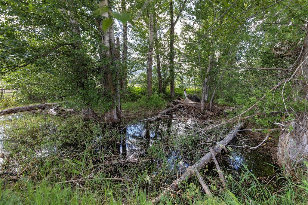 20233 Leo Hansen Road Property Photo 28