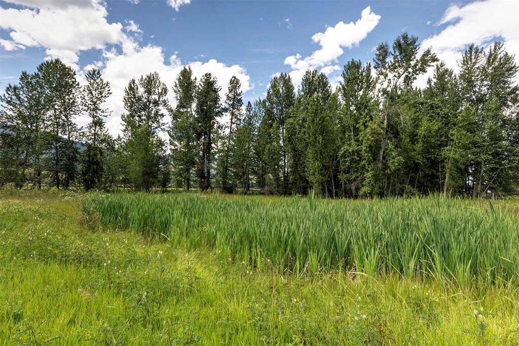 20233 Leo Hansen Road Property Photo 29