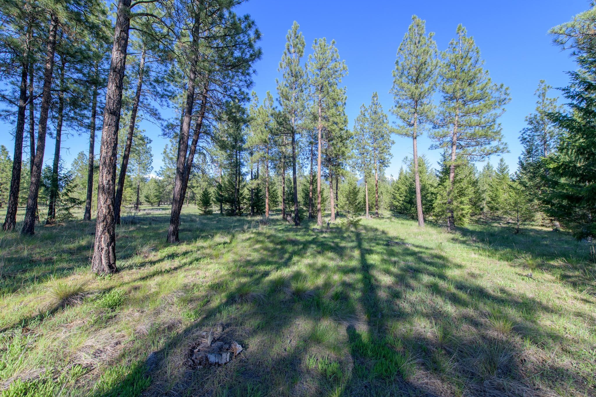 2650 Sophie Lake Road Property Photo 19