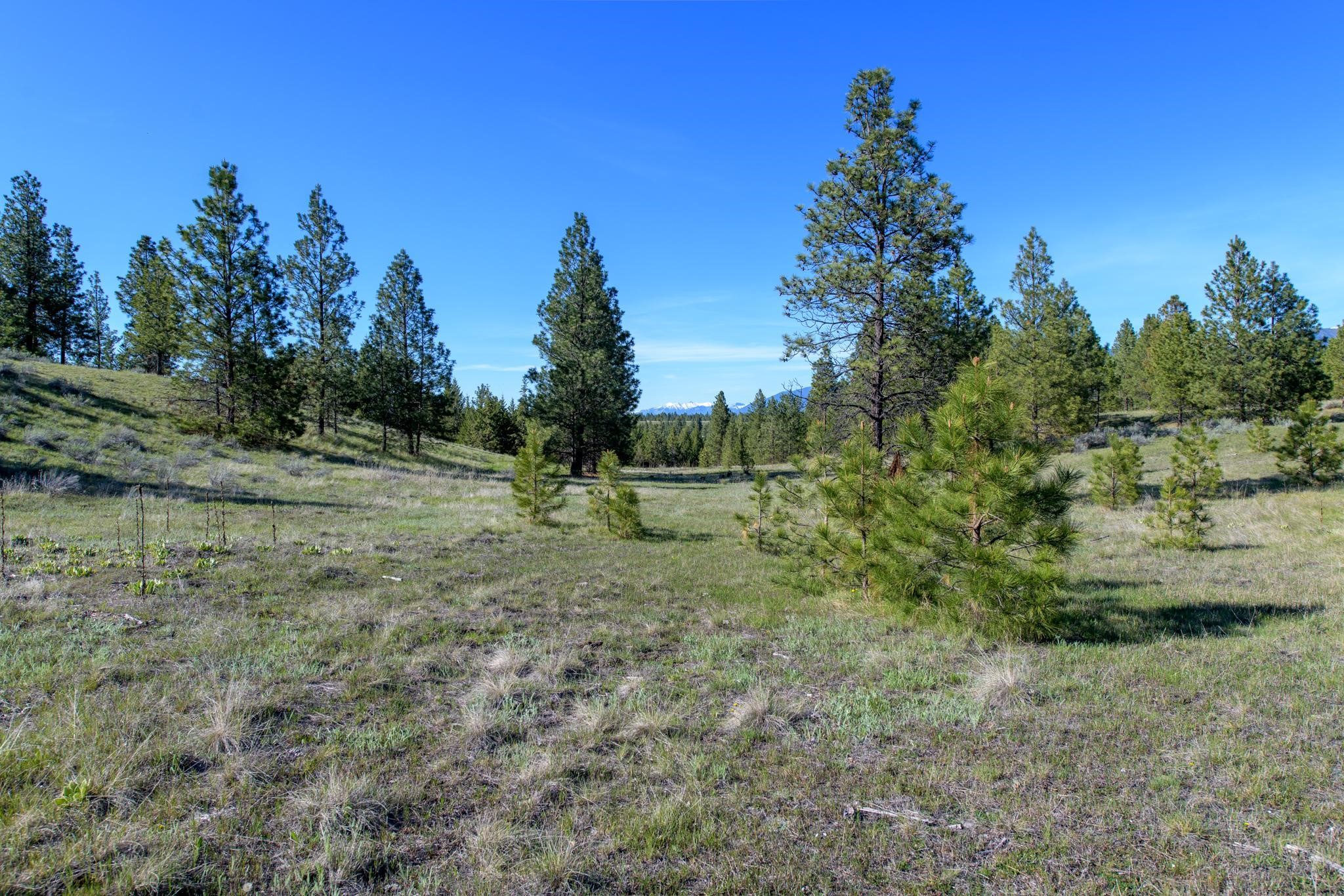2650 Sophie Lake Road Property Photo 46