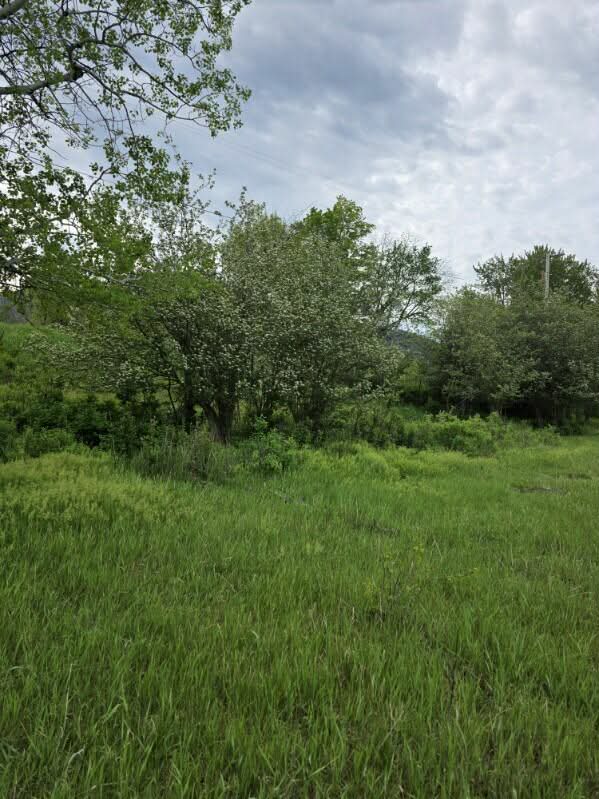 Nhn Stitt Lane Property Photo 1