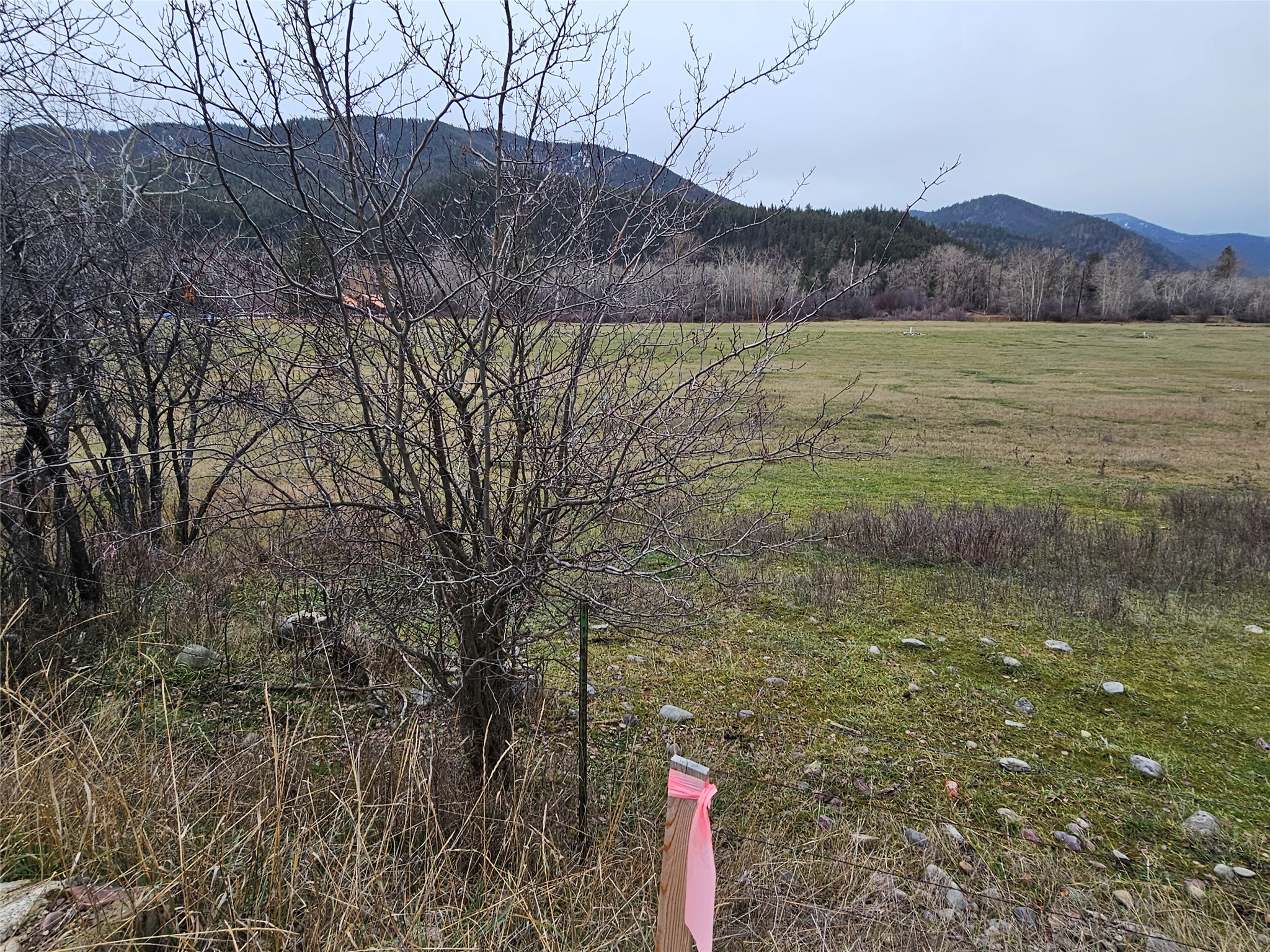 Nhn Stitt Lane Property Photo 16