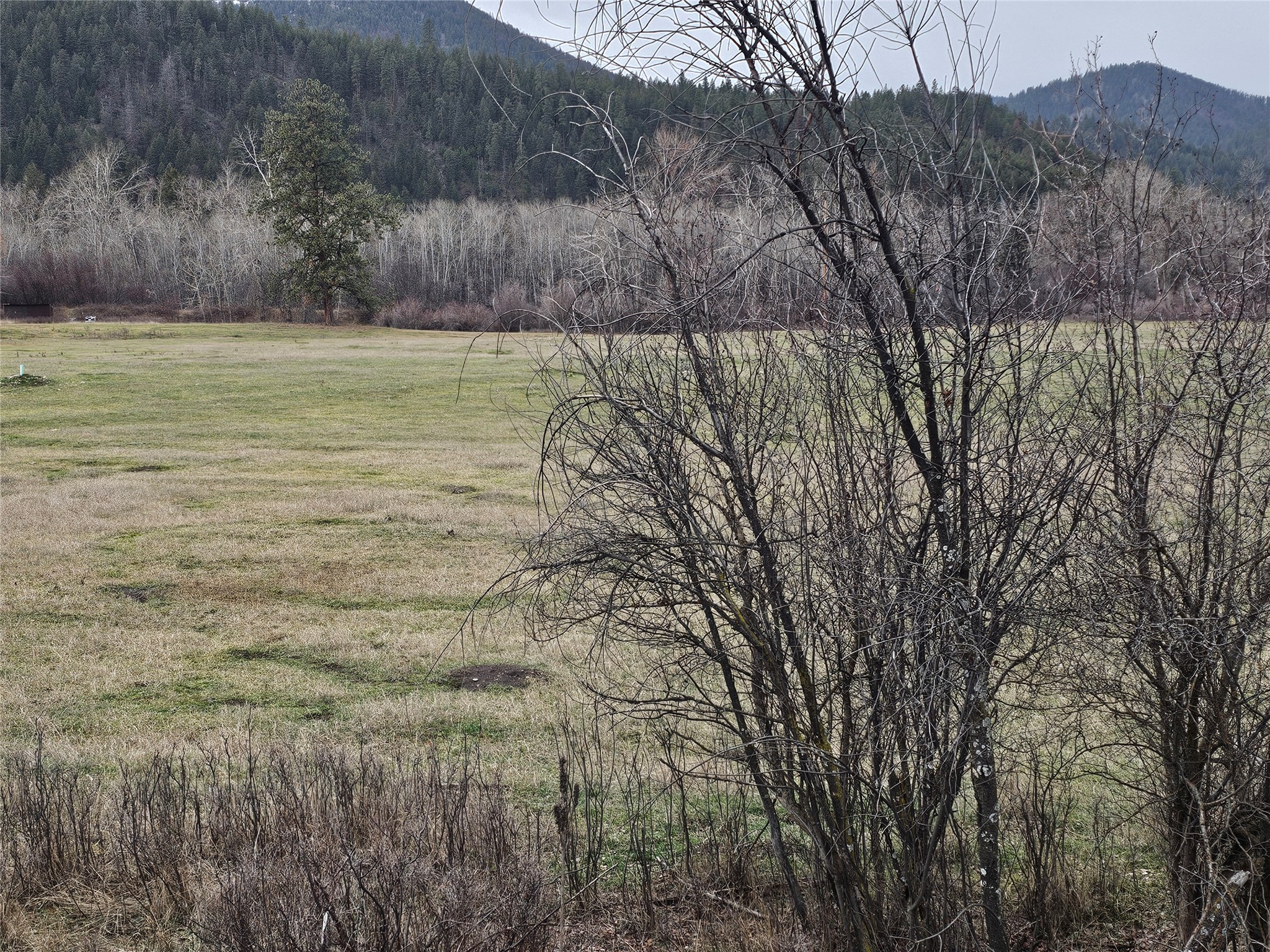 Nhn Stitt Lane Property Photo 17