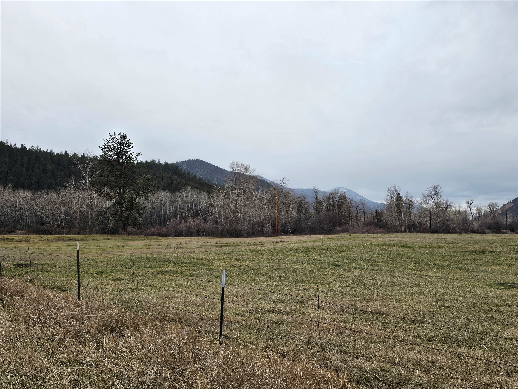 Nhn Stitt Lane Property Photo 21